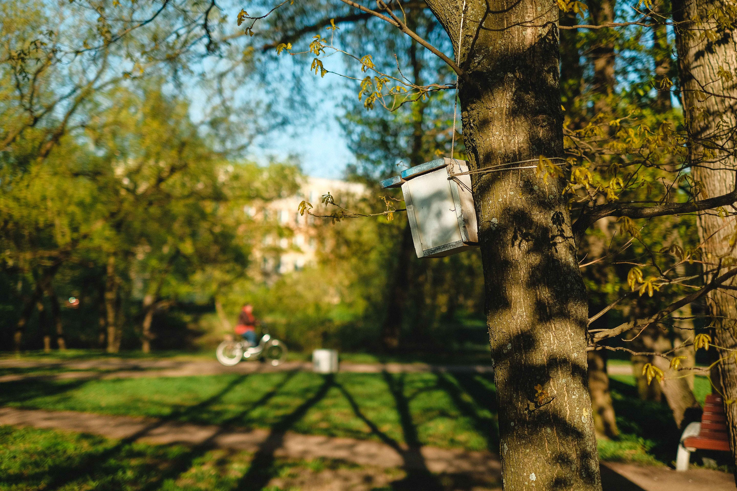 2022.05. Фотограф Алексей Алексеев