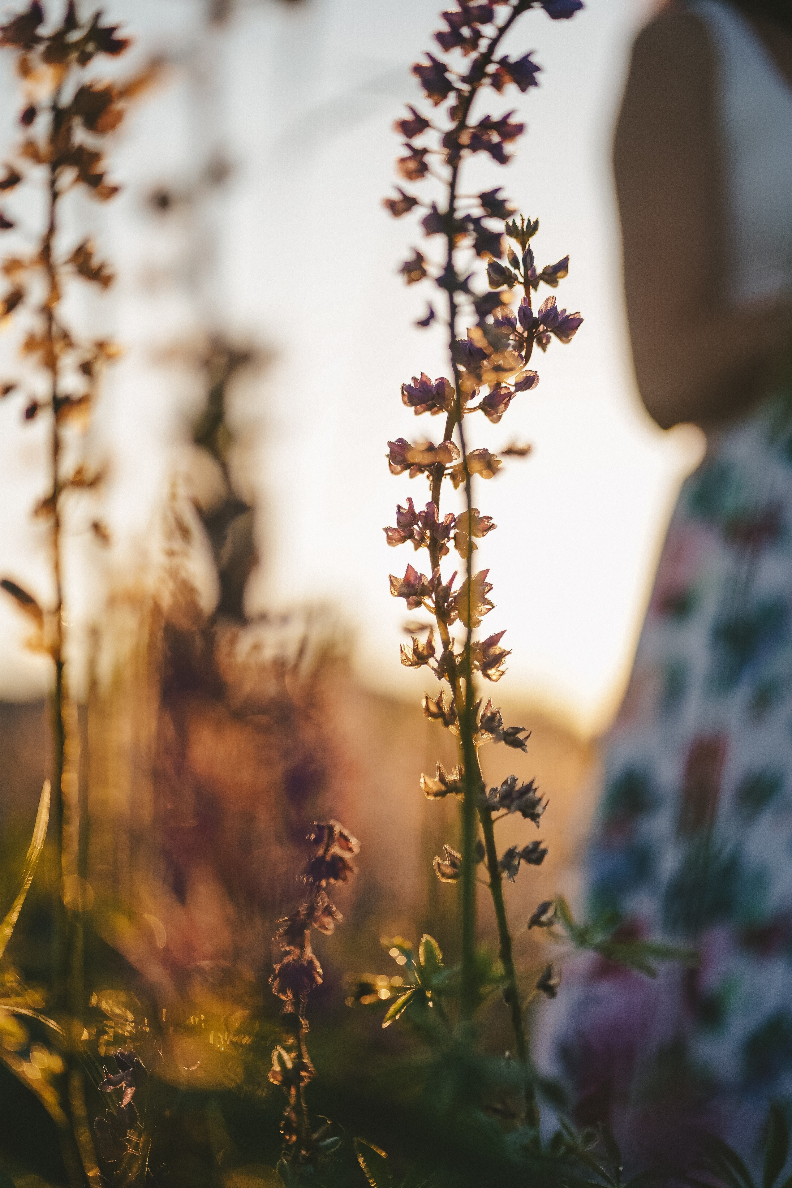 Рассвет. Семейный lifestyle фотограф Наталья Разгуляева в Москве