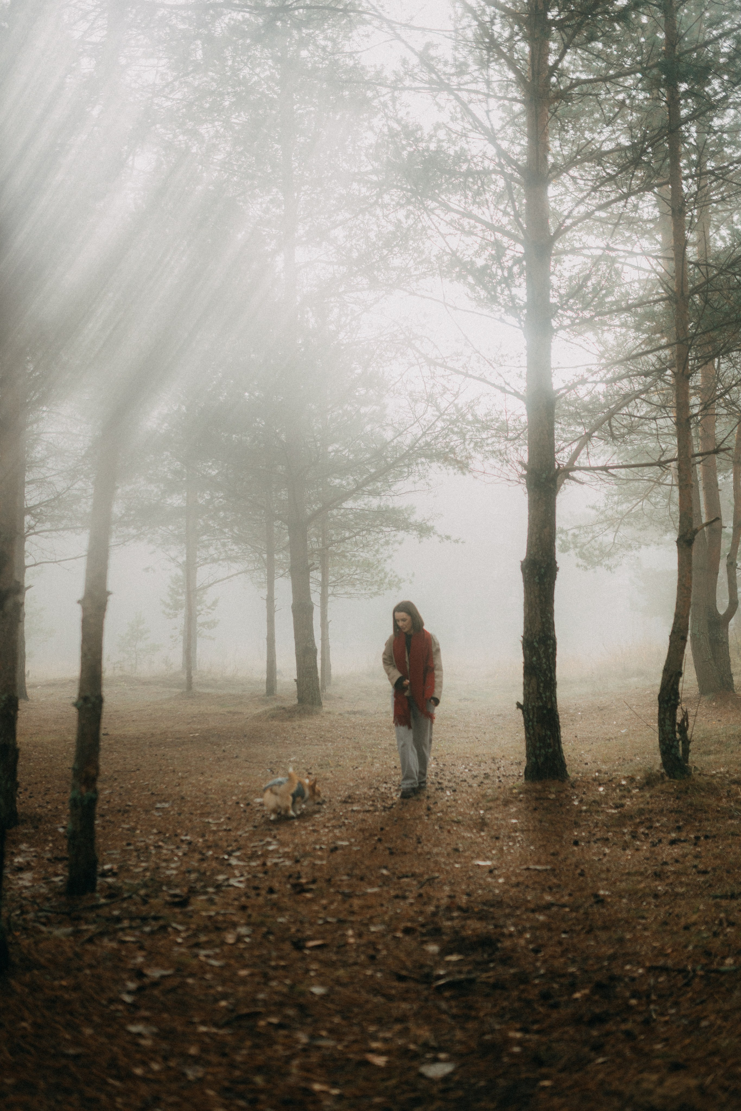 Алина. Фотограф НОГИНСК, Москва, Анастасия Белая