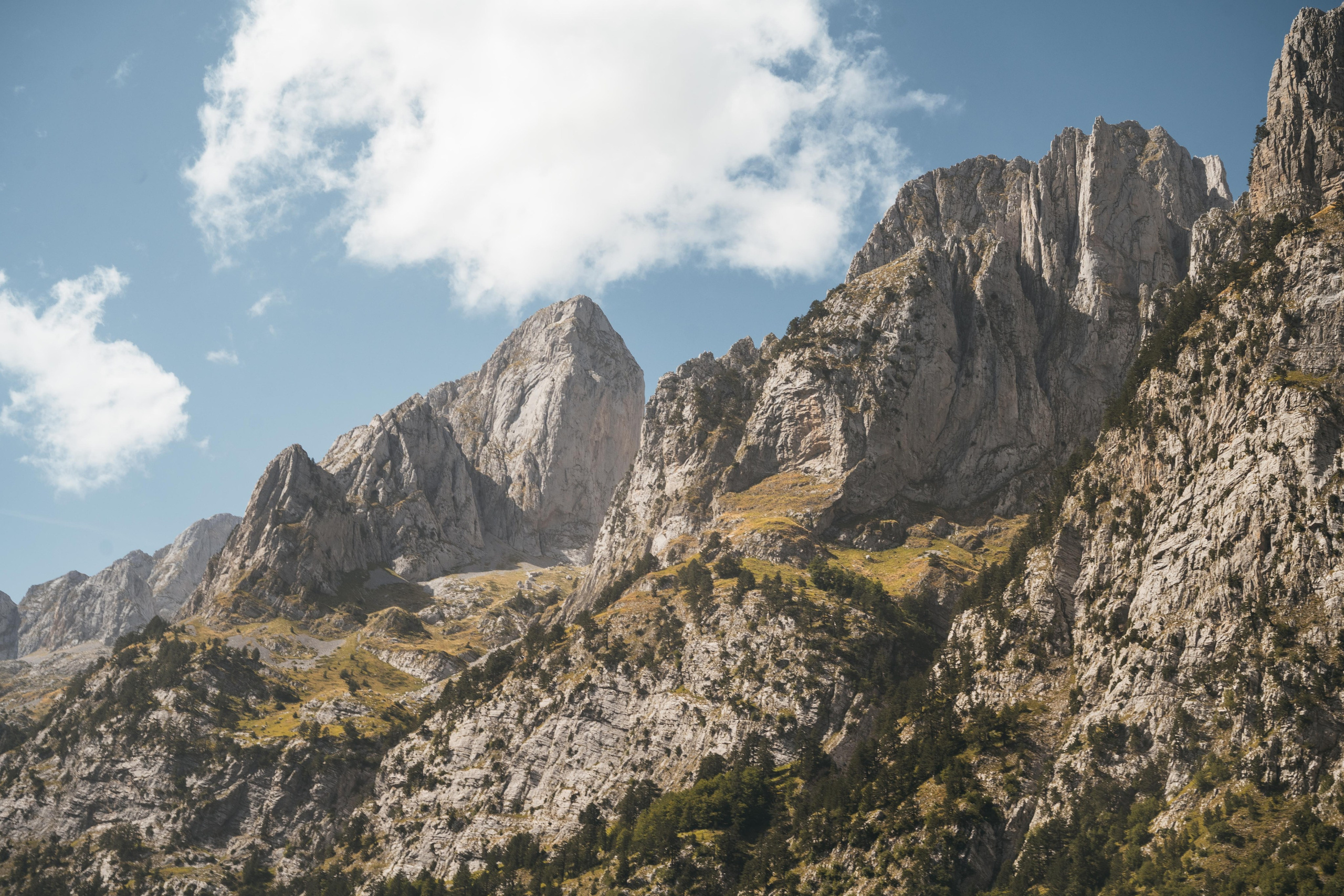 ДОЛИНА РАПОЯНА. ЧЕРНОГОРИЯ. Фотограф в Белграде Чугреева Елена