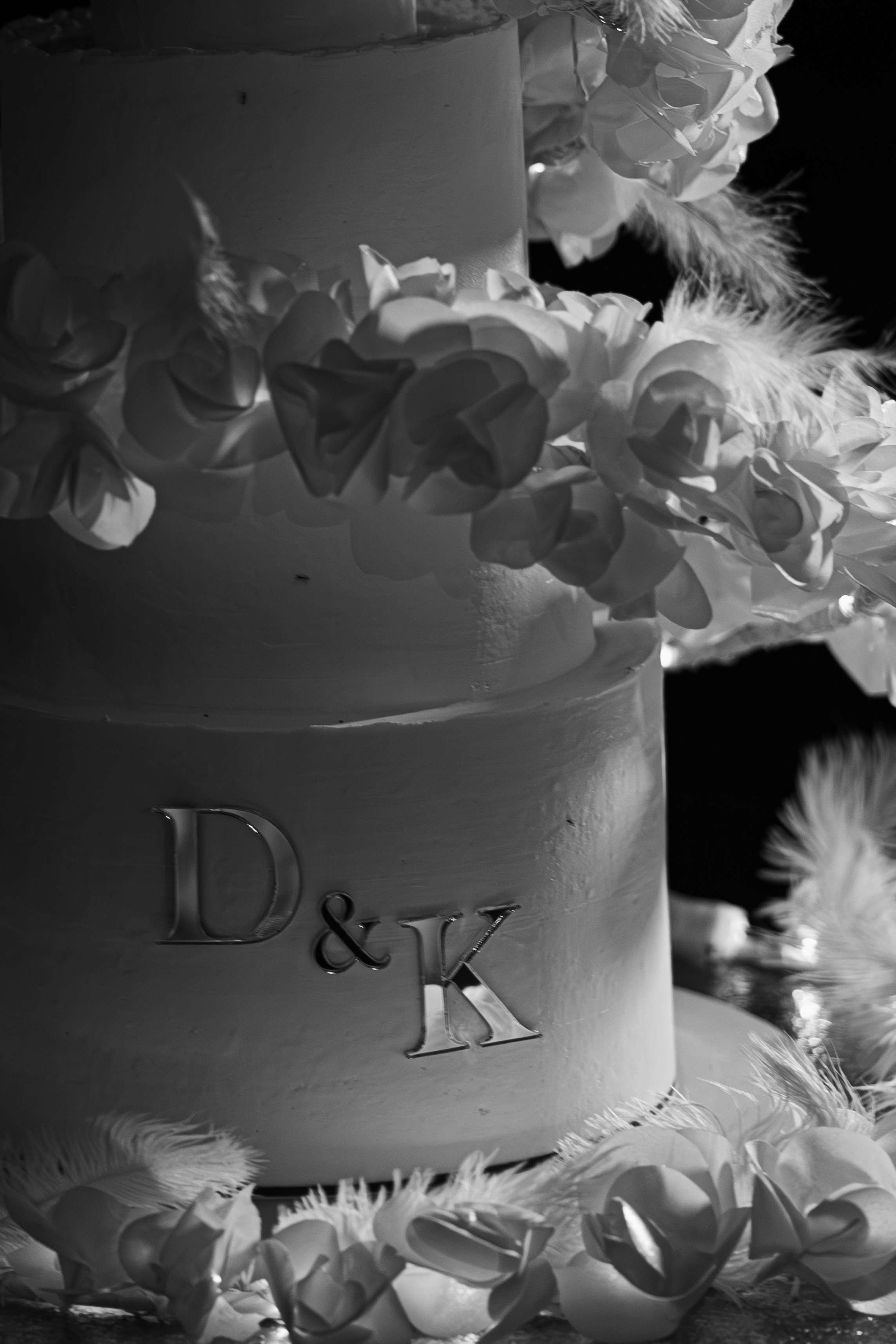 Династии и Карина. Фотограф в Москве Гришин Леонид