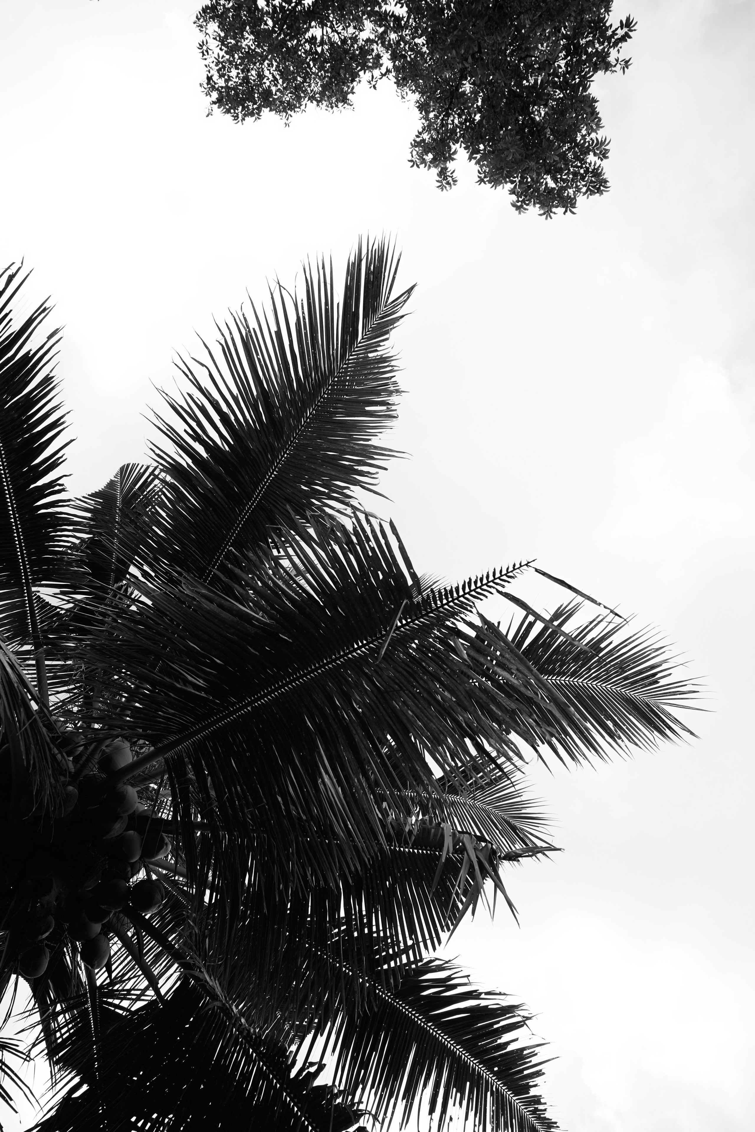 Бали. Ретрит «Love is in the air»Март 2025 Фото. Профессиональный фотограф Татьяна Евглевская