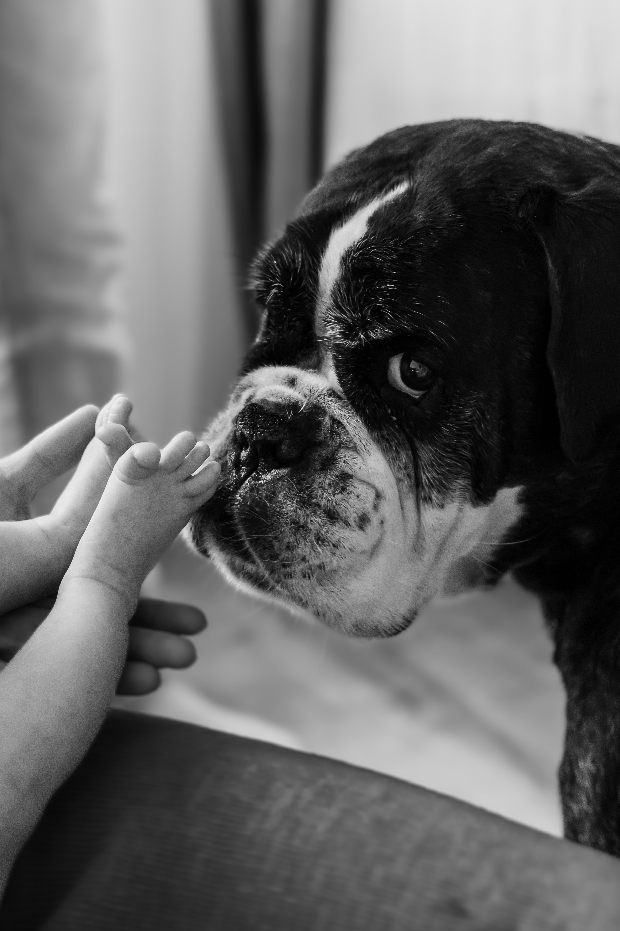 Счастье. ФОТОГРАФ | Сыктывкар