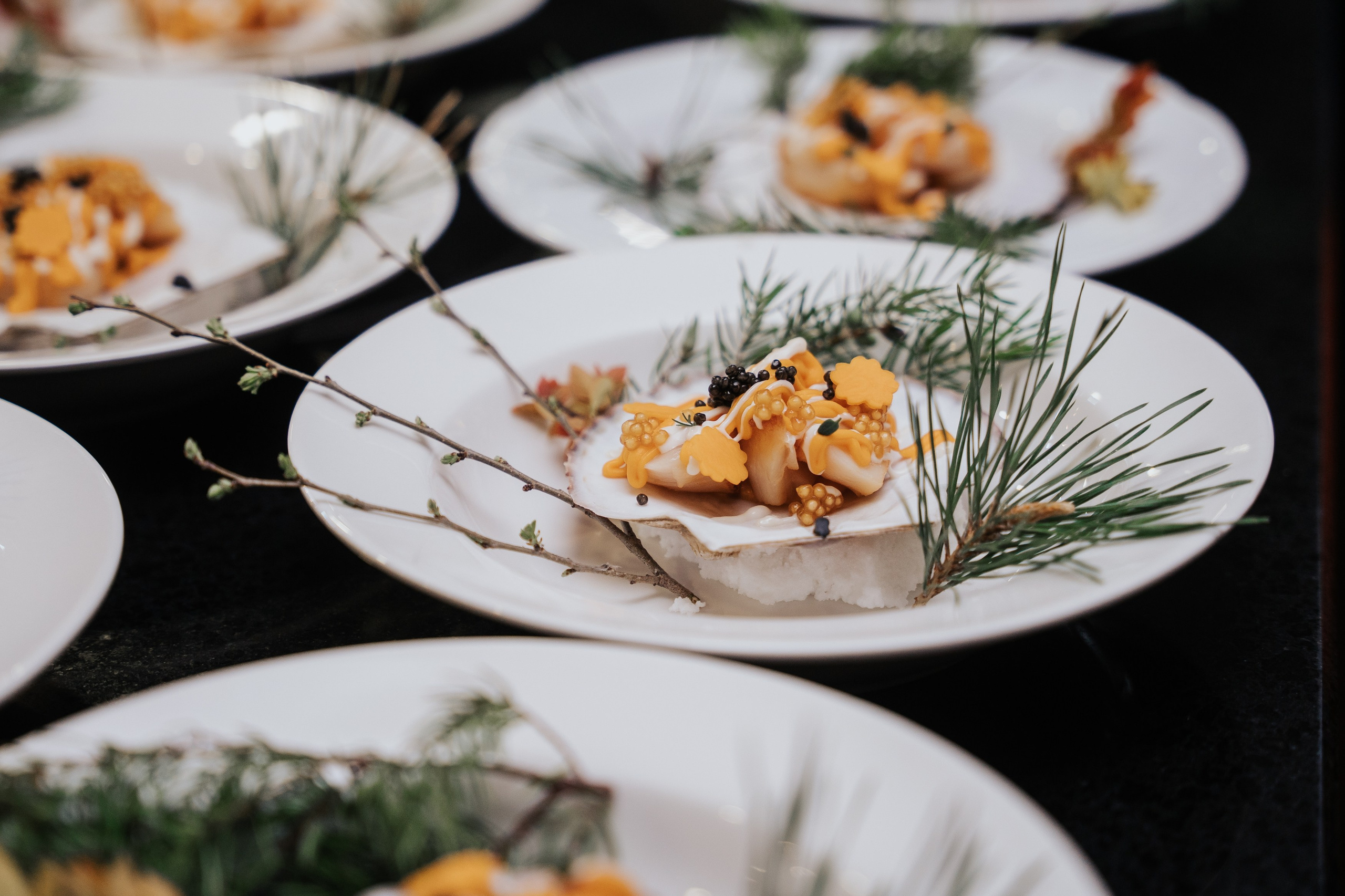 SOPKA. Фотограф Хабаровск