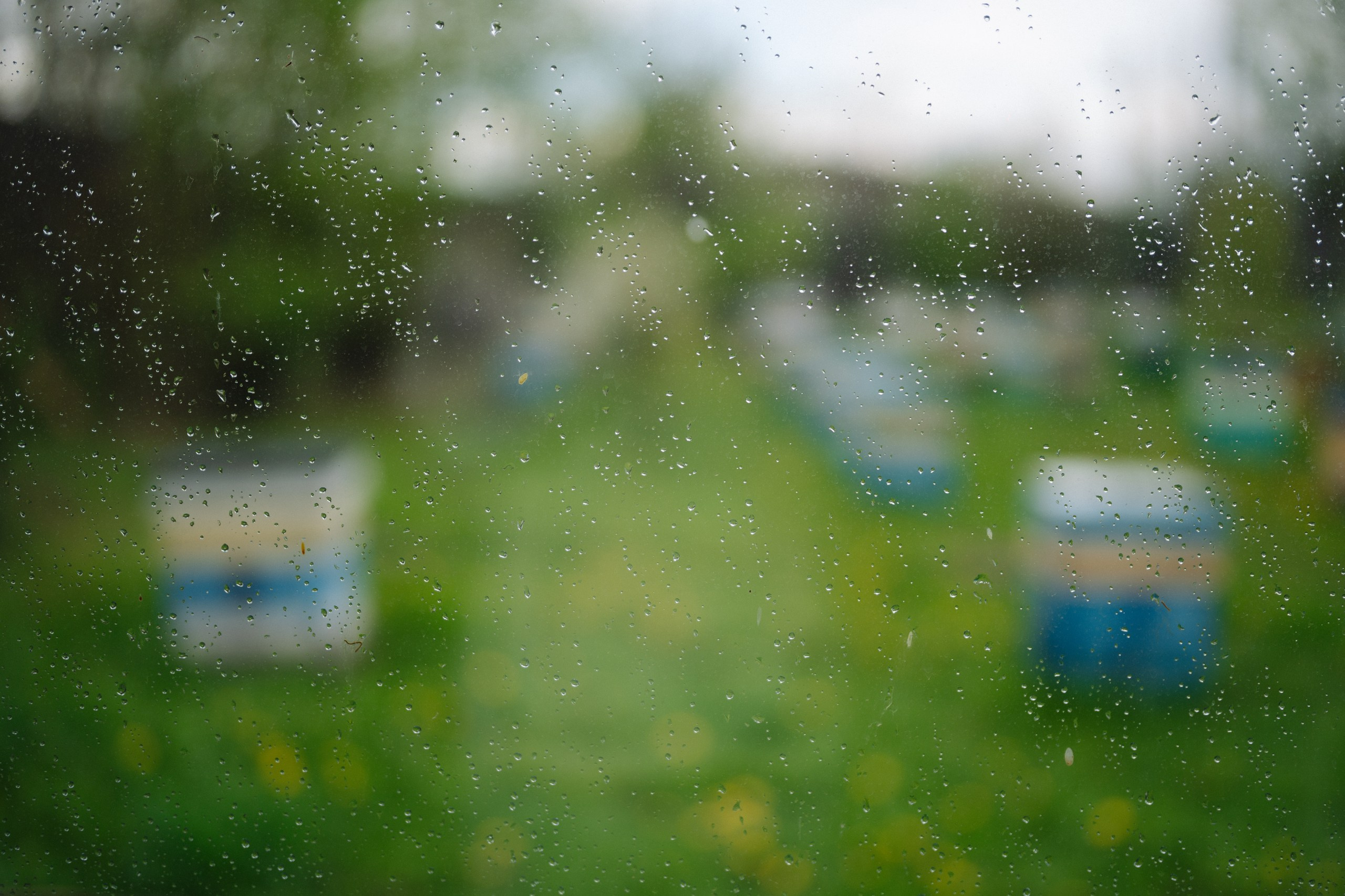 Сюжет № 8|Дмитрий Смирнов