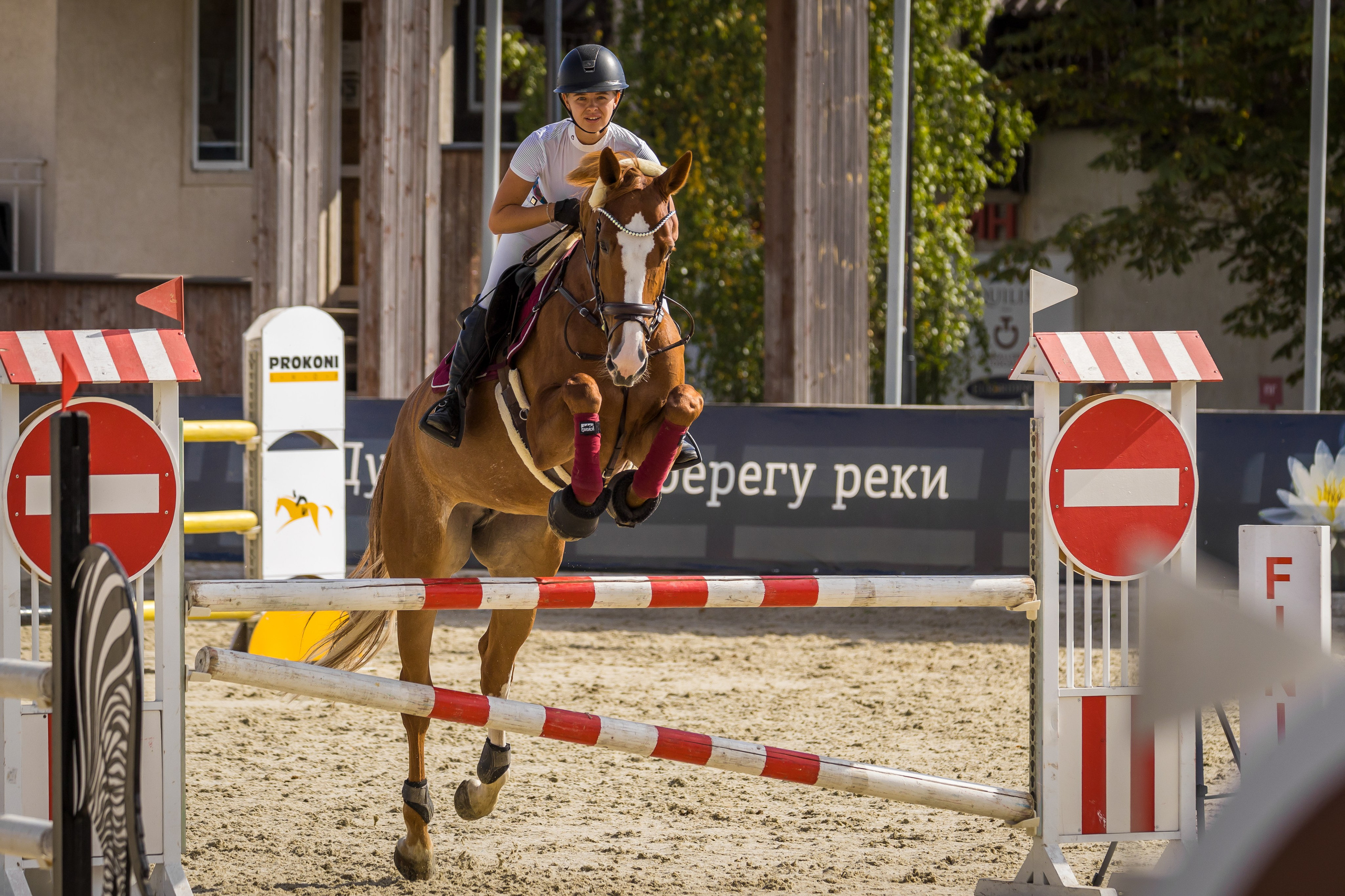 Конный спорт. Photomantis