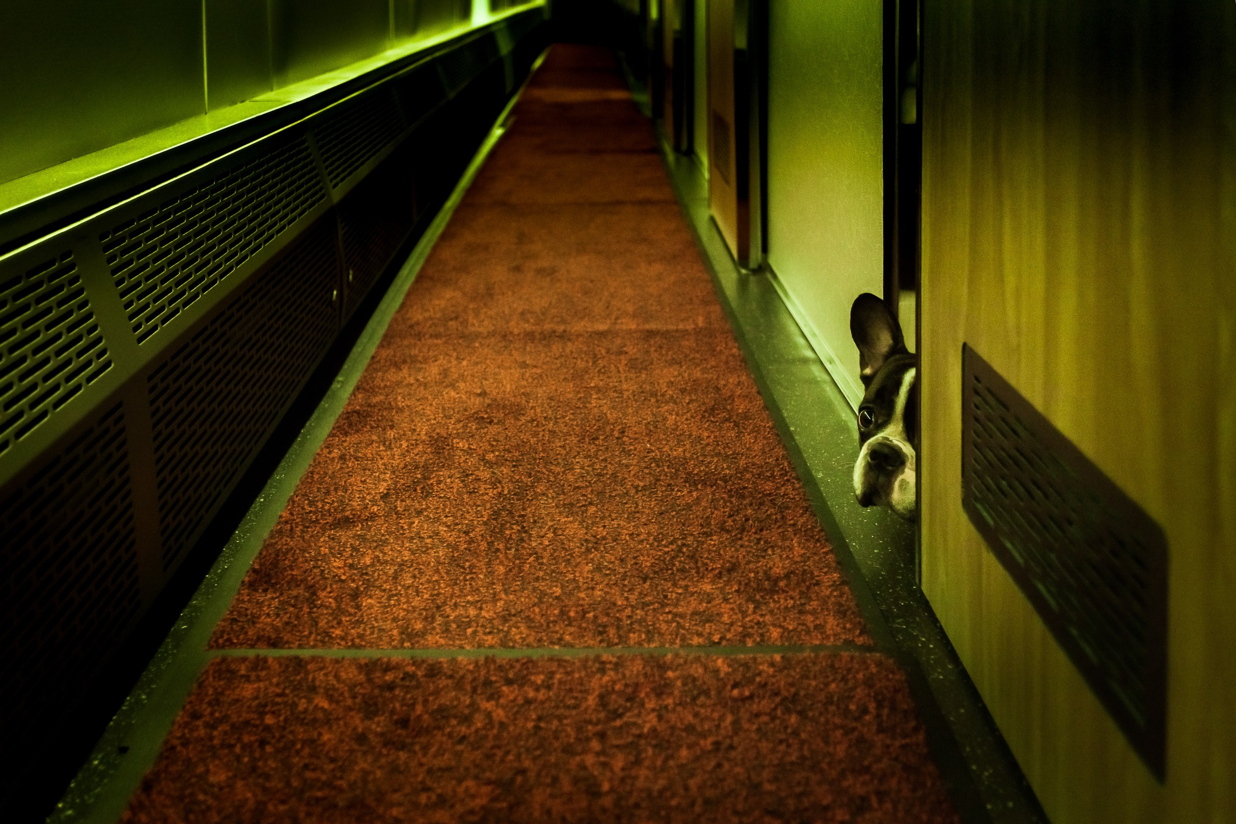 ПРОЕКТ «Куда мы едем?». Фотограф в Москве Татьяна Макотра