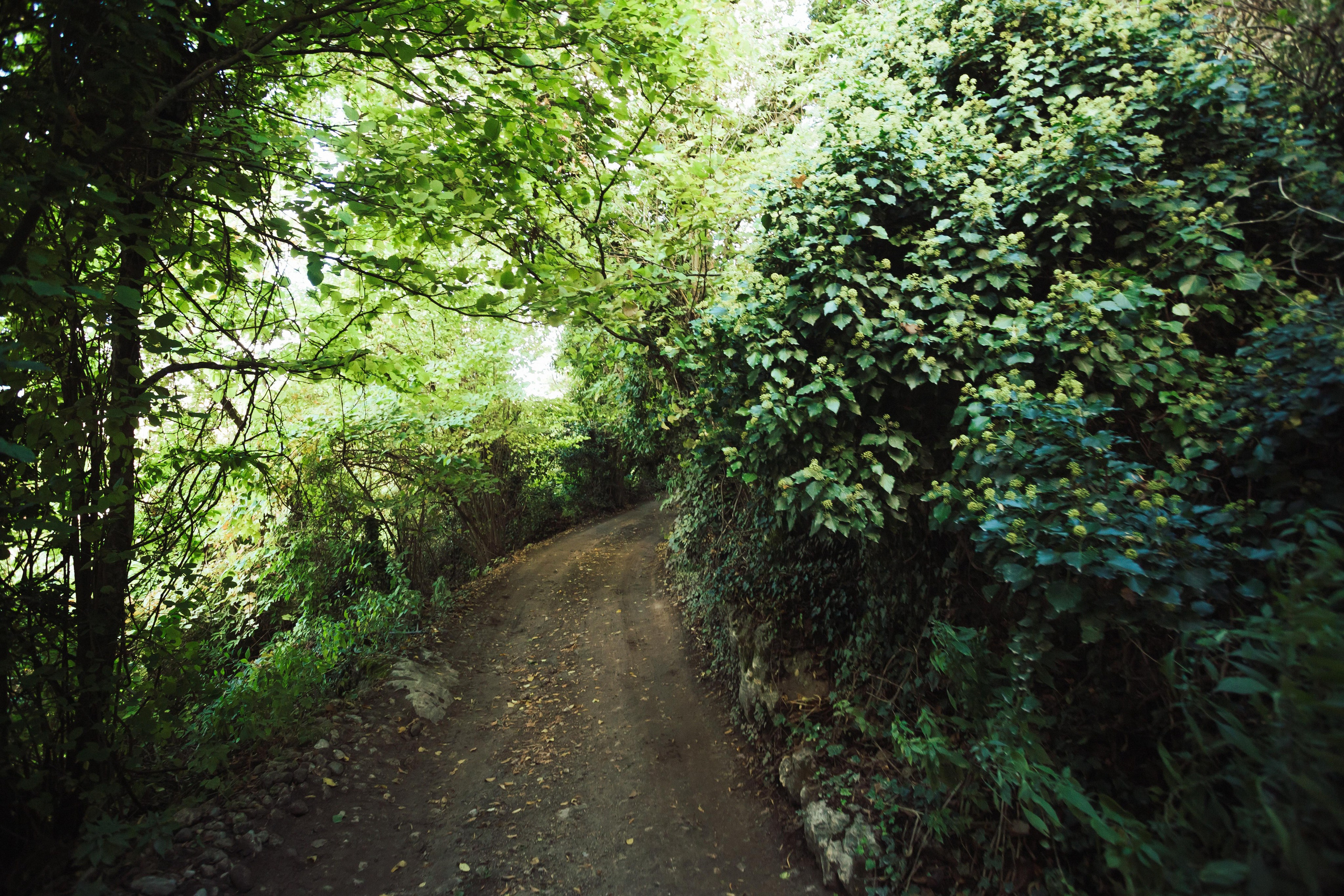 Таинственный Мангуп. Семен Соколов