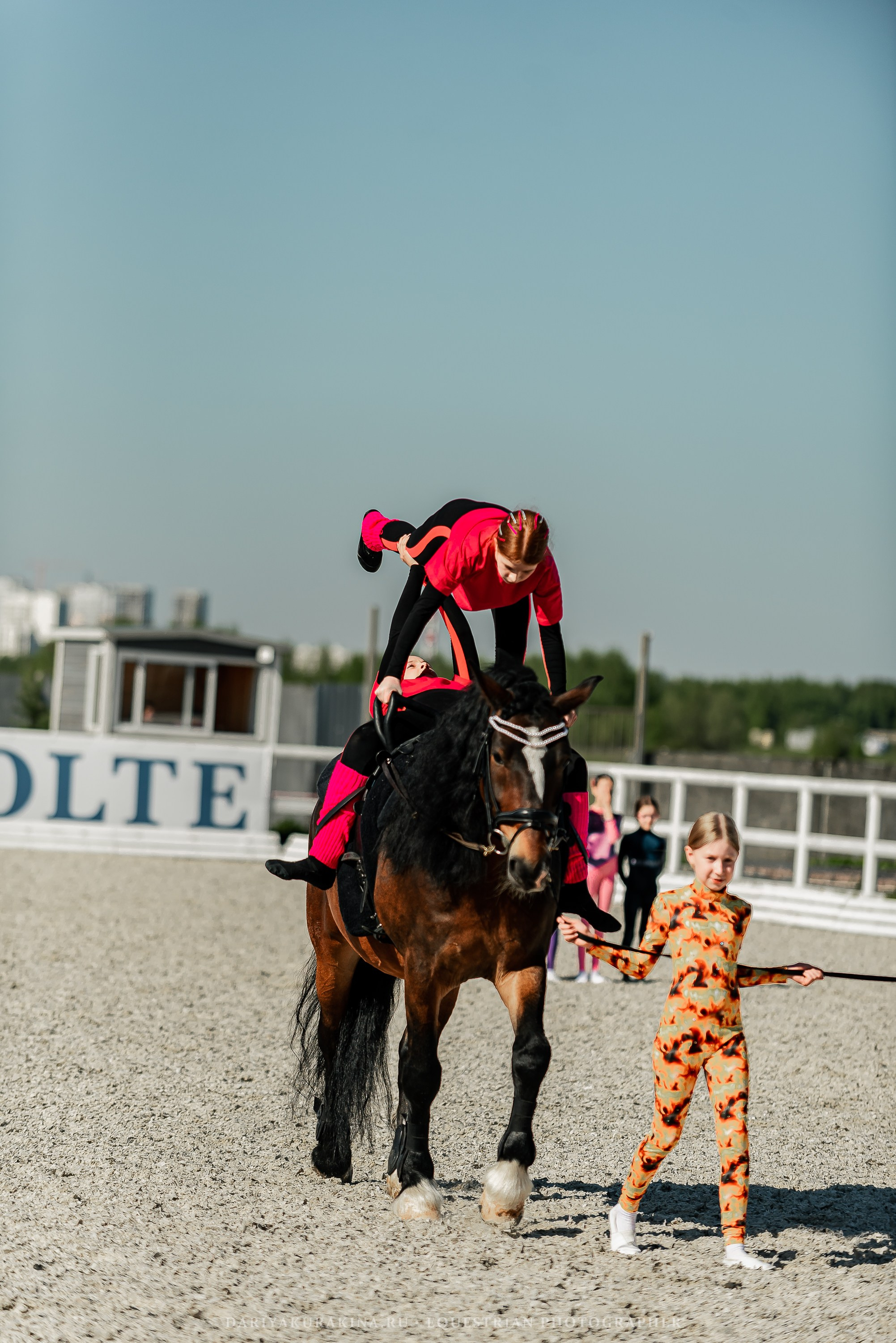 РЕПОРТАЖ МКК ВОЛЬТ «LA TULIPS». Конный фотограф Куракина Дарья • Фотосессии с лошадьми
