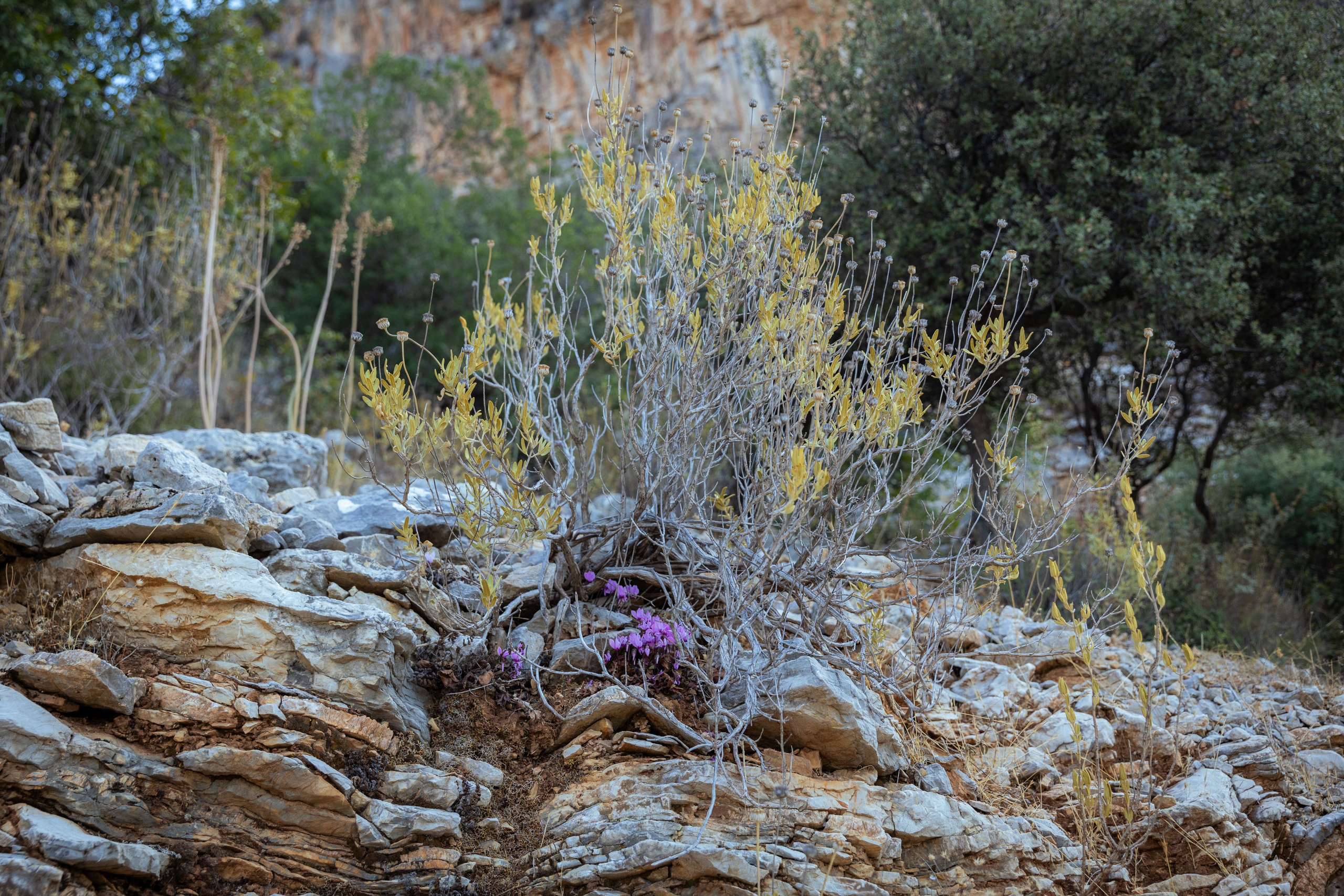 Турция (осень 2023). Фотограф Виноградов Константин