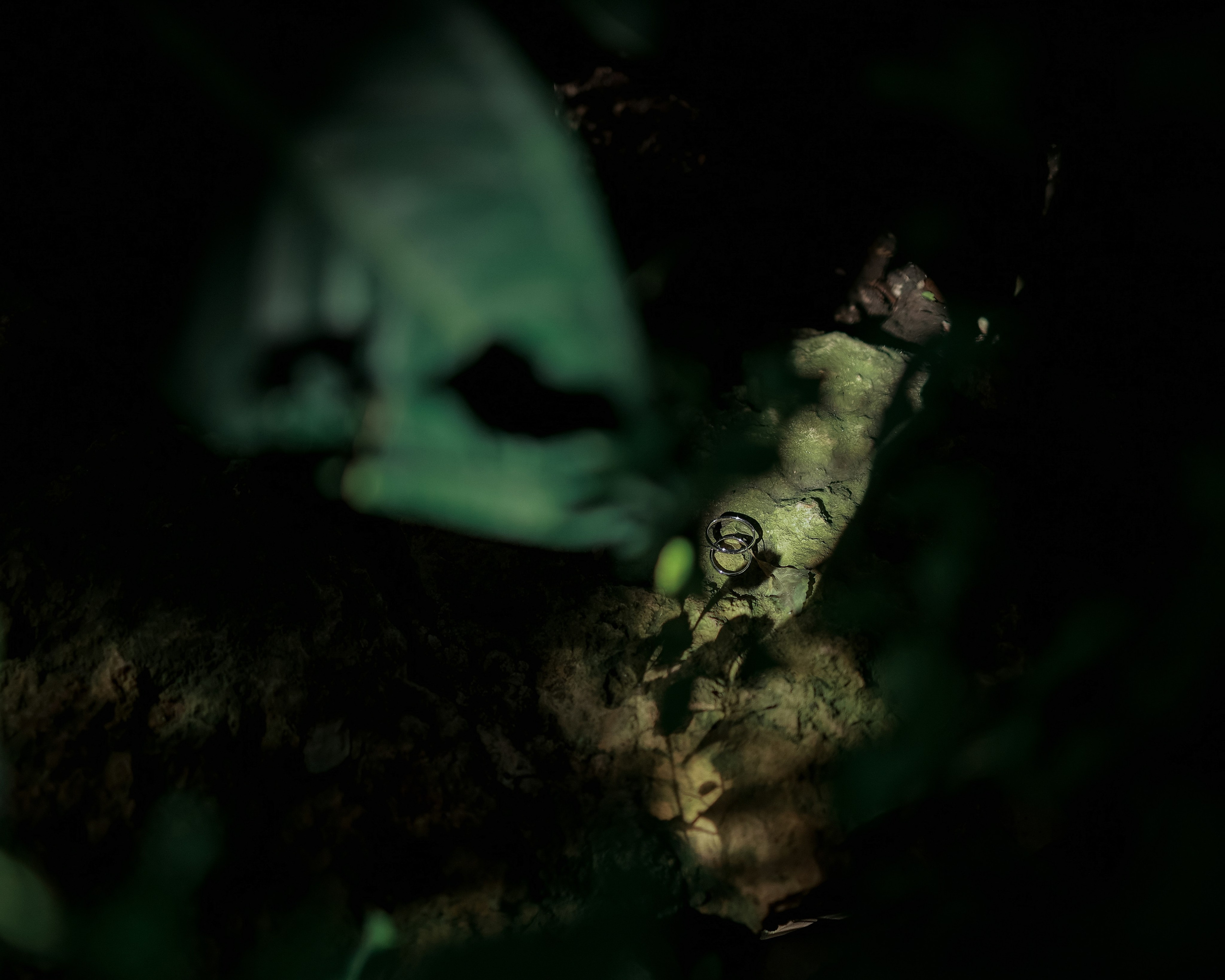 Свадебный и репортажный фотограф в Москве Иван Васильев