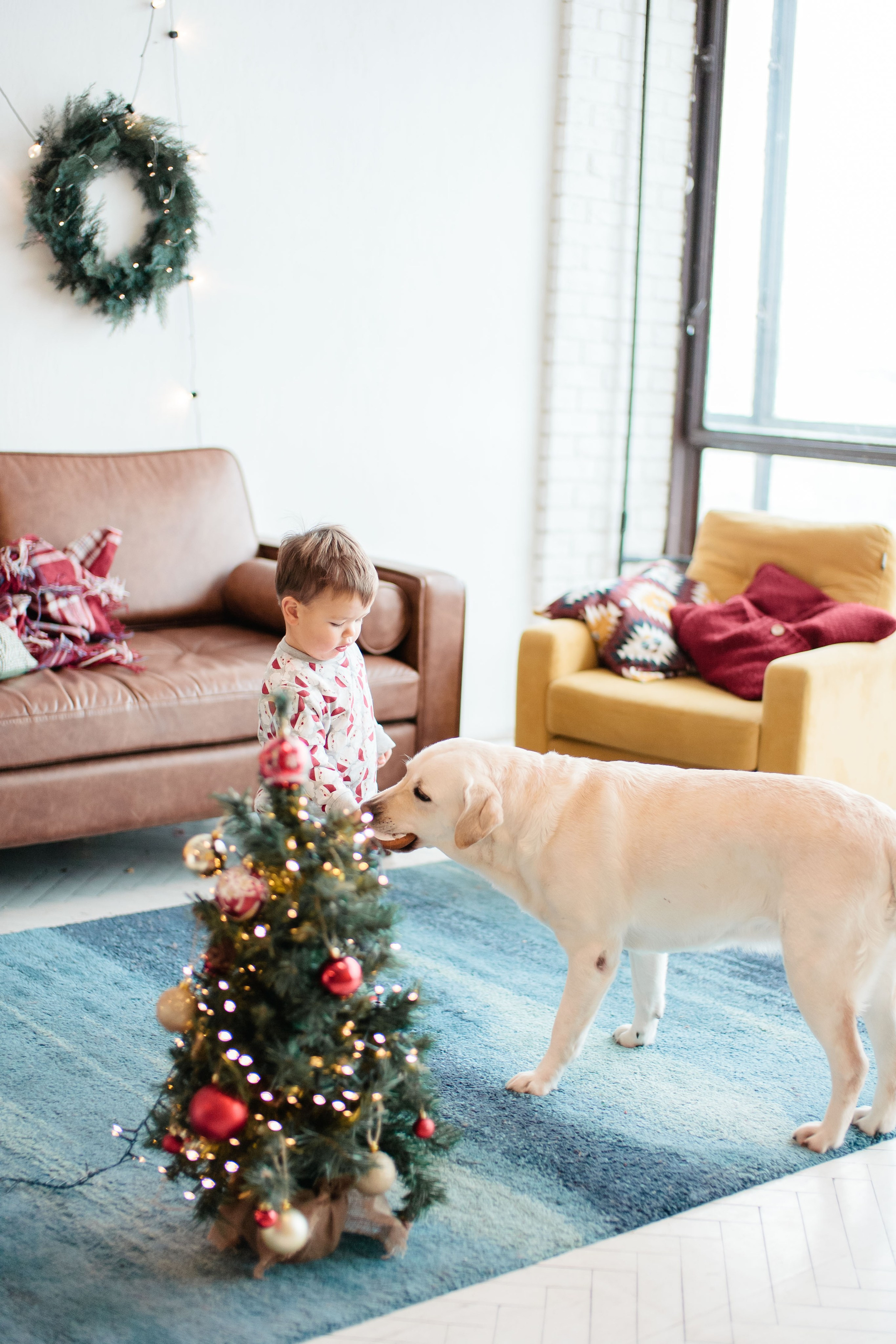 Семейная Новогодняя фотосессия в студии, фотограф в Москве