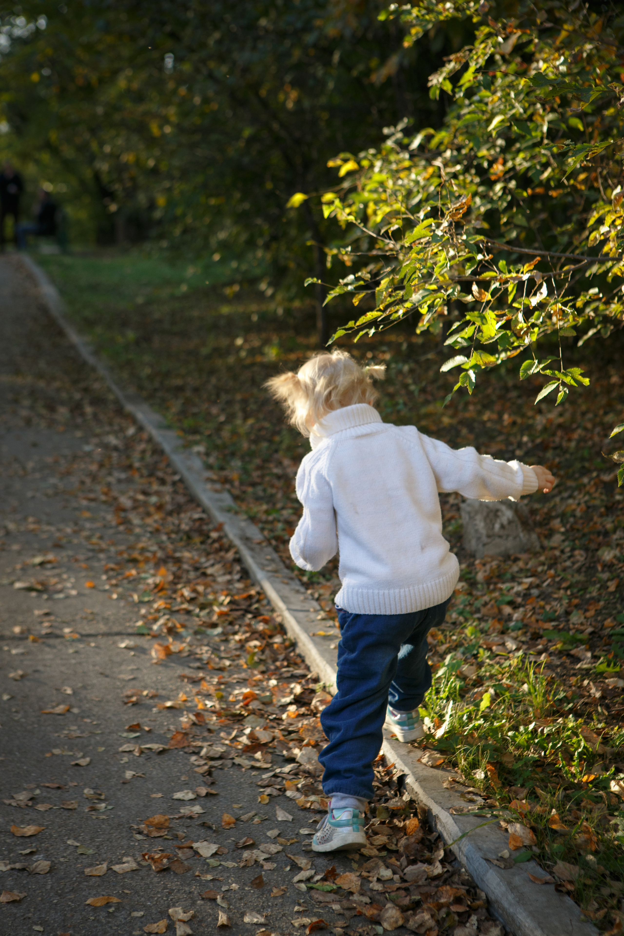 Осенняя прогулка. Фотограф Евгения Лондкевич