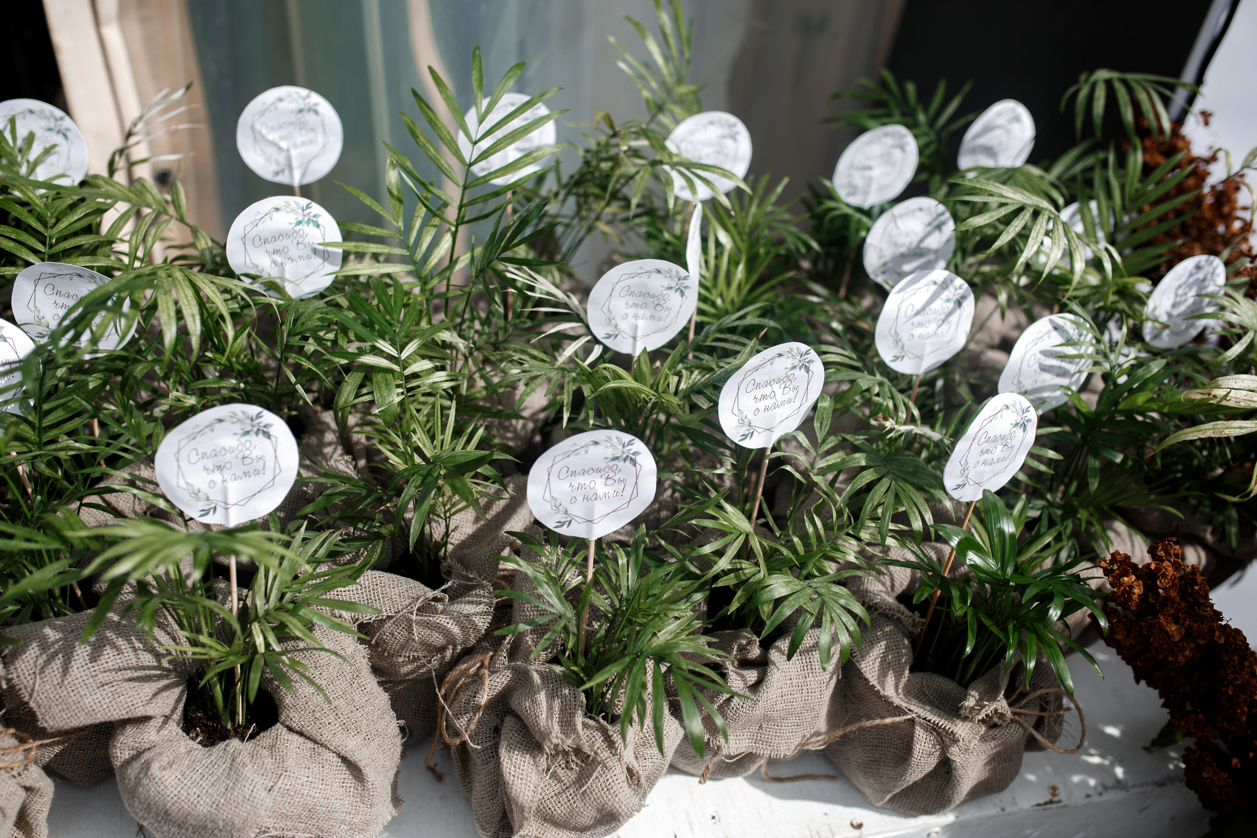 Банкет. Свадебный Фотограф и Видеограф Омск