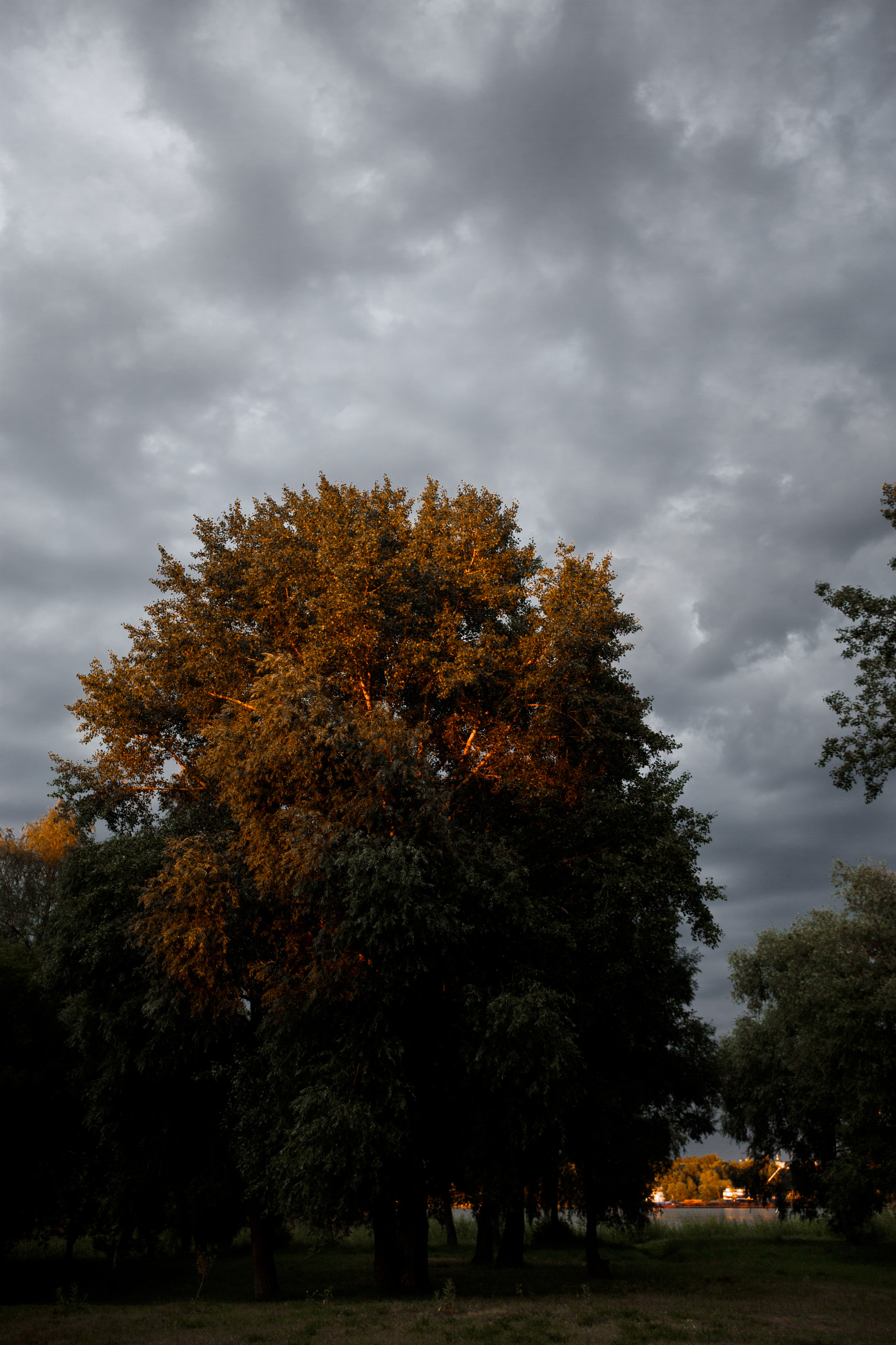 Банкет. Свадебный Фотограф и Видеограф Омск