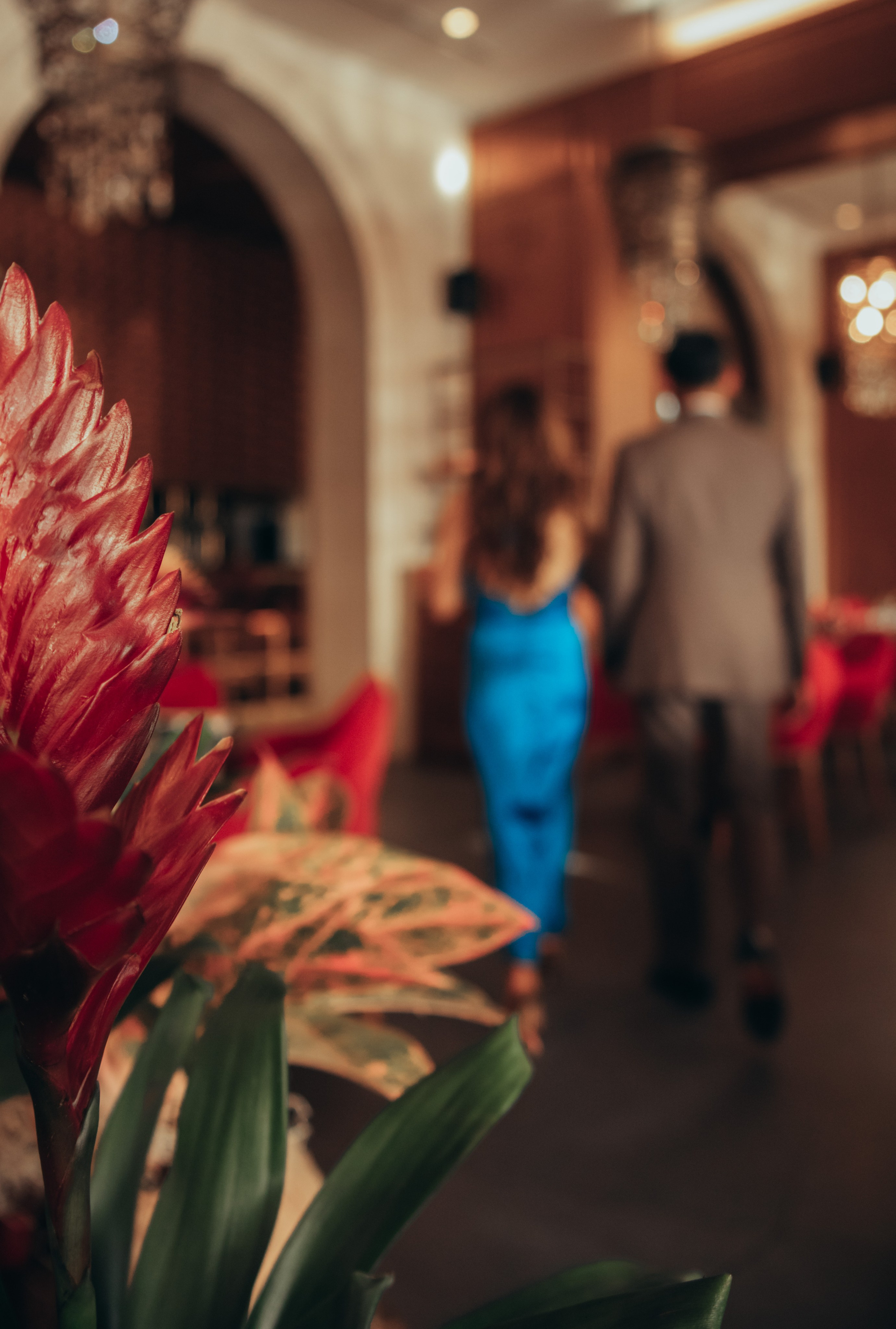 Nisha & Bharat Montenegrin anniversary. Portrait photographer in Tivat Montenegro Katerina Kirsanova