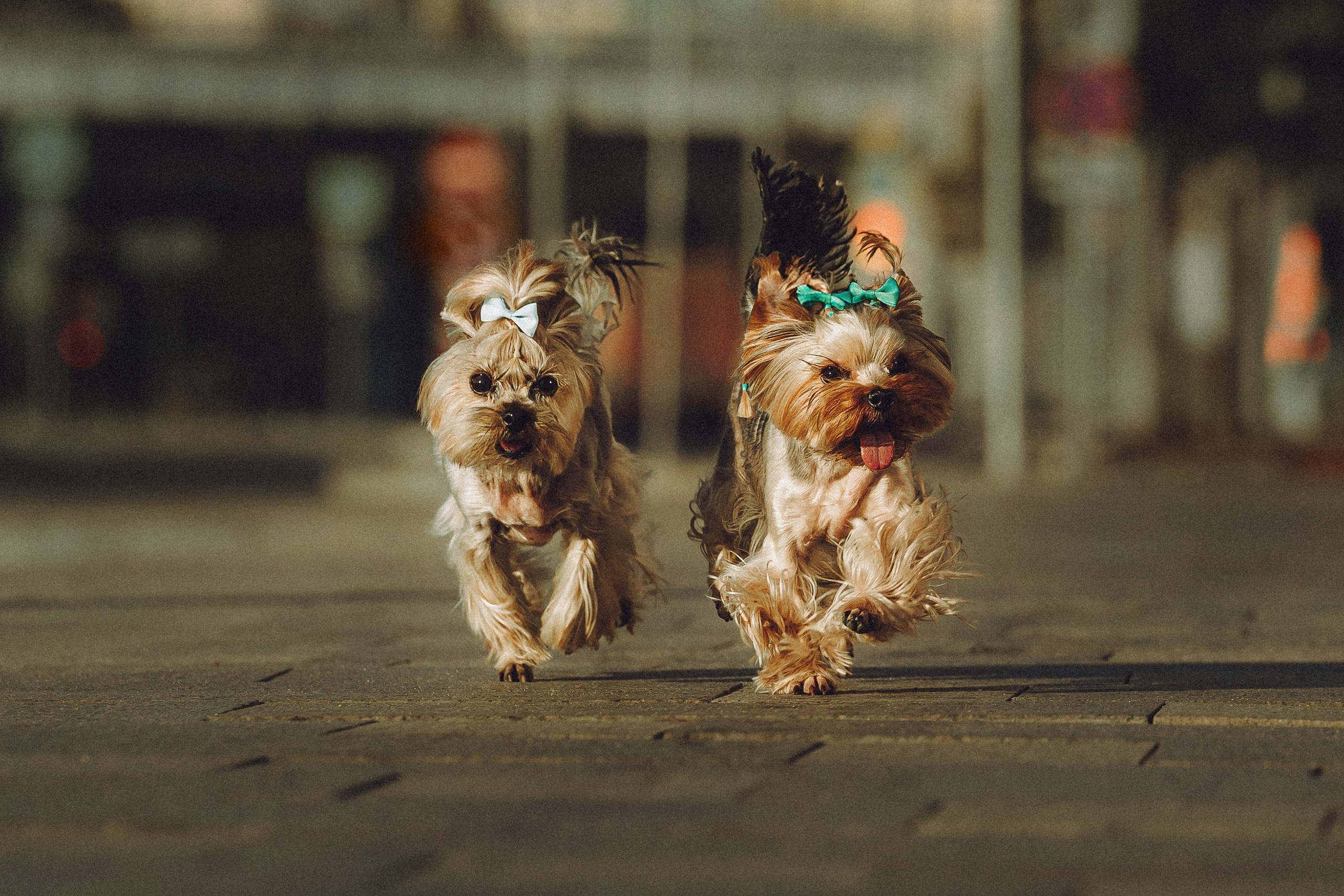 Дженни, Оливия и их семья