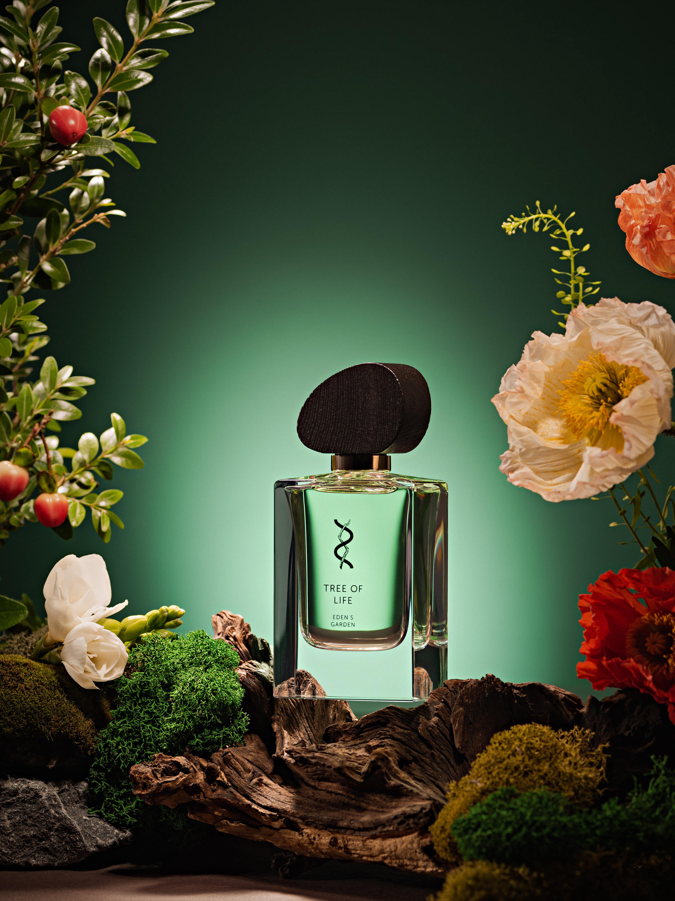 BROCARD GROUP. Асель Рембекова