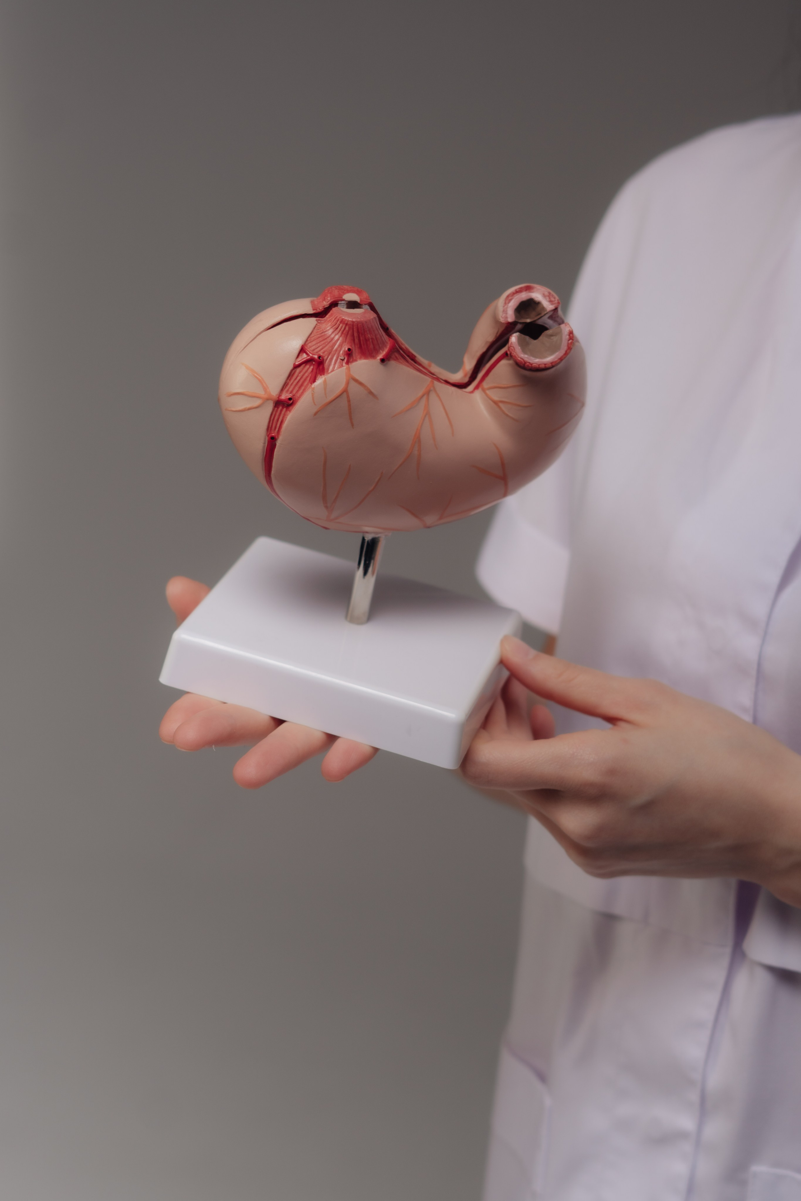 Курманбаева Жанара Жанзаковна. Уличный и студийный фотограф в Астане Ержанов Нурасыл