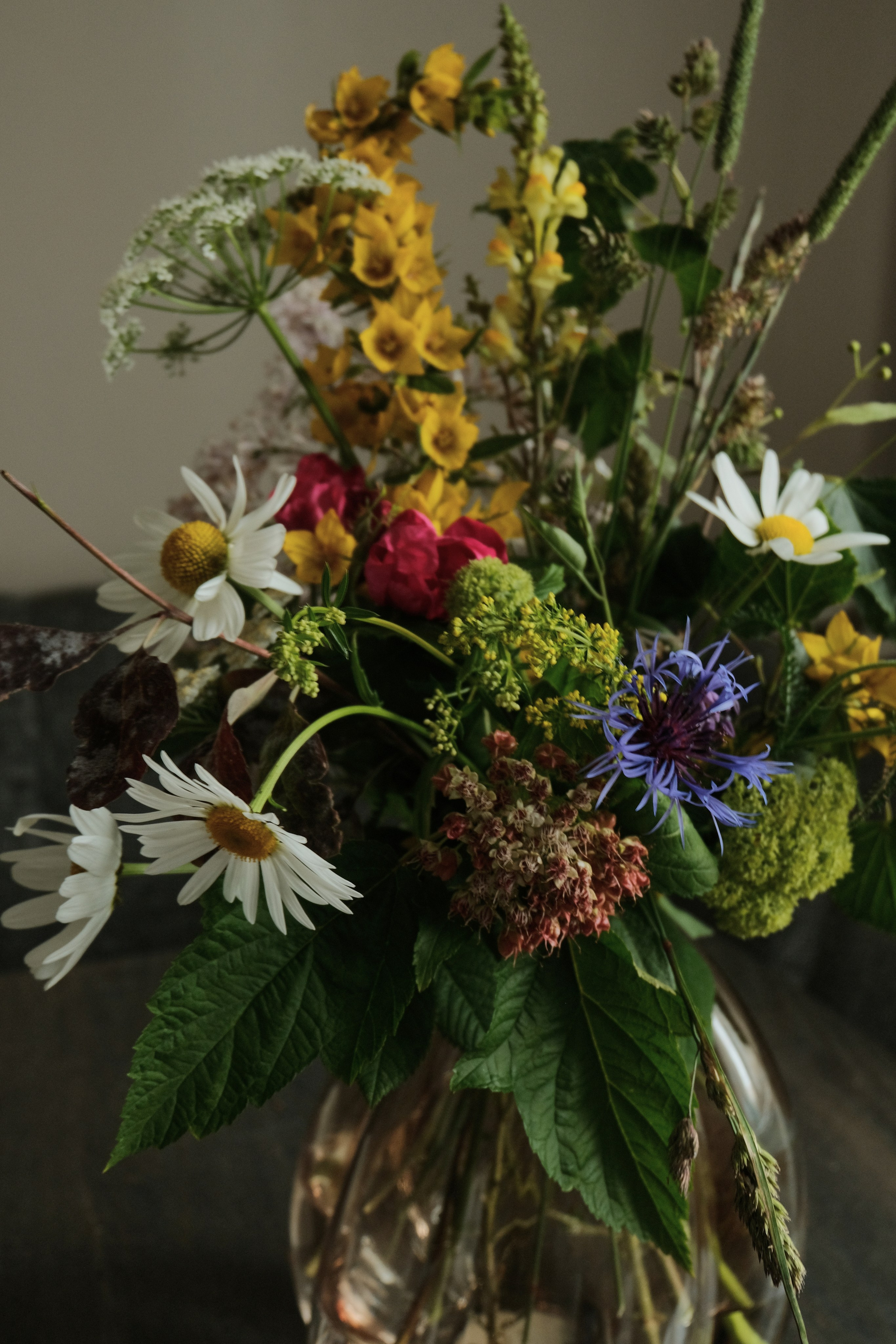 Saint Petersburg. Creative travel photographer — Berg Daria