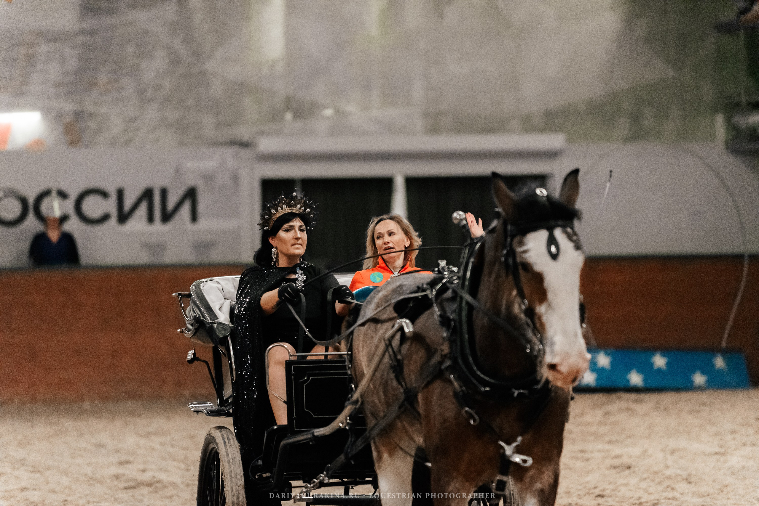 Конное представление «Дыхание Звёзд». Конный фотограф Куракина Дарья • Фотосессии с лошадьми
