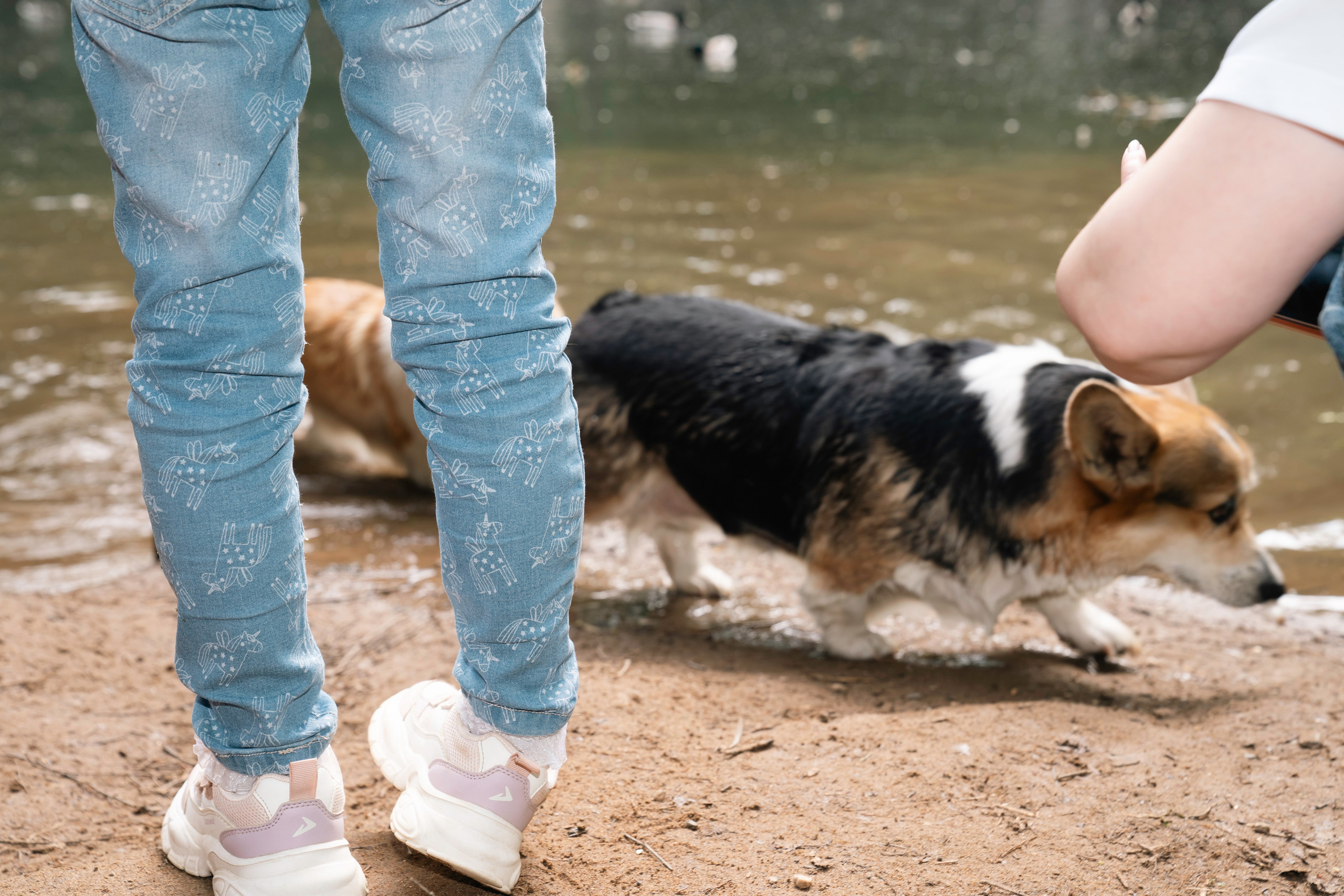 Фотограф Светлана Родыгина — Фотосессии в Кирове