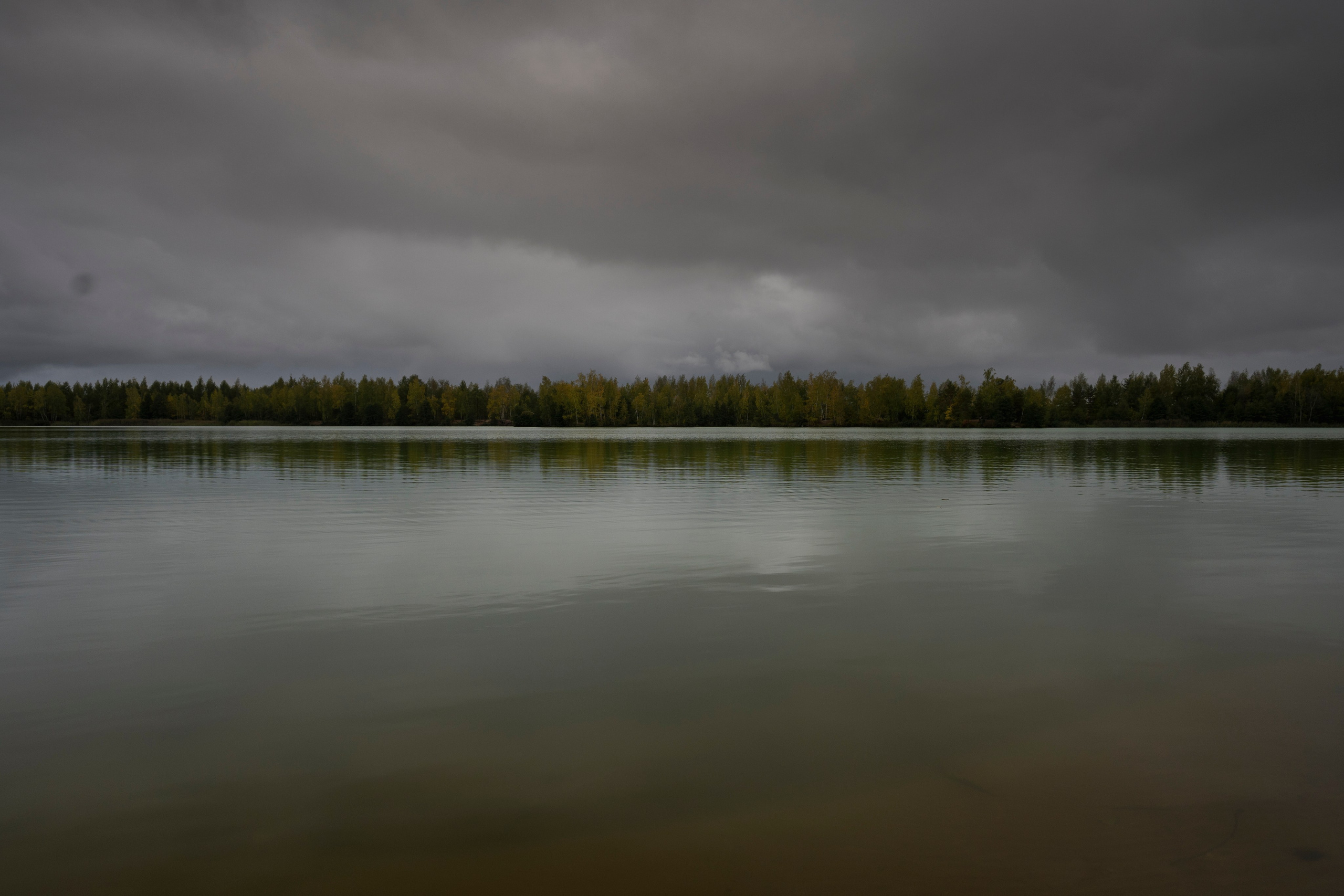 Фотопрогулка ДР. Фотограф Роман Адлер