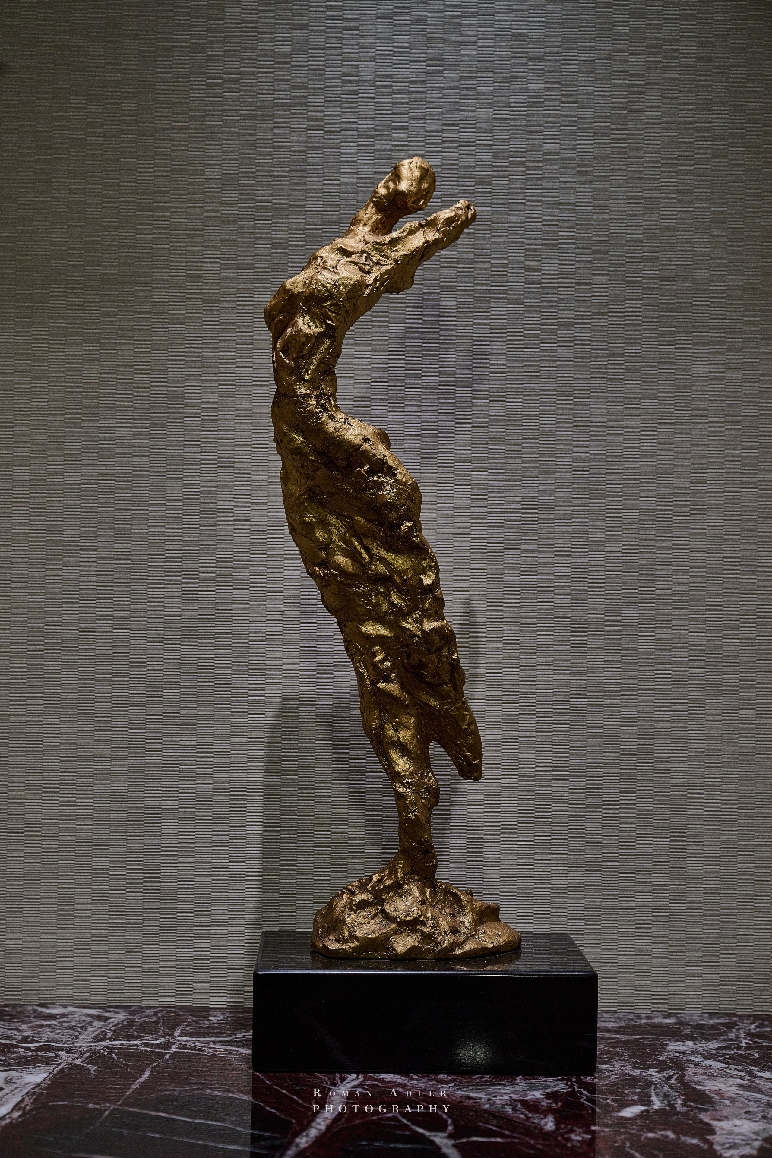 Культурные Встречи (Hotel Continental). Фотограф Роман Адлер