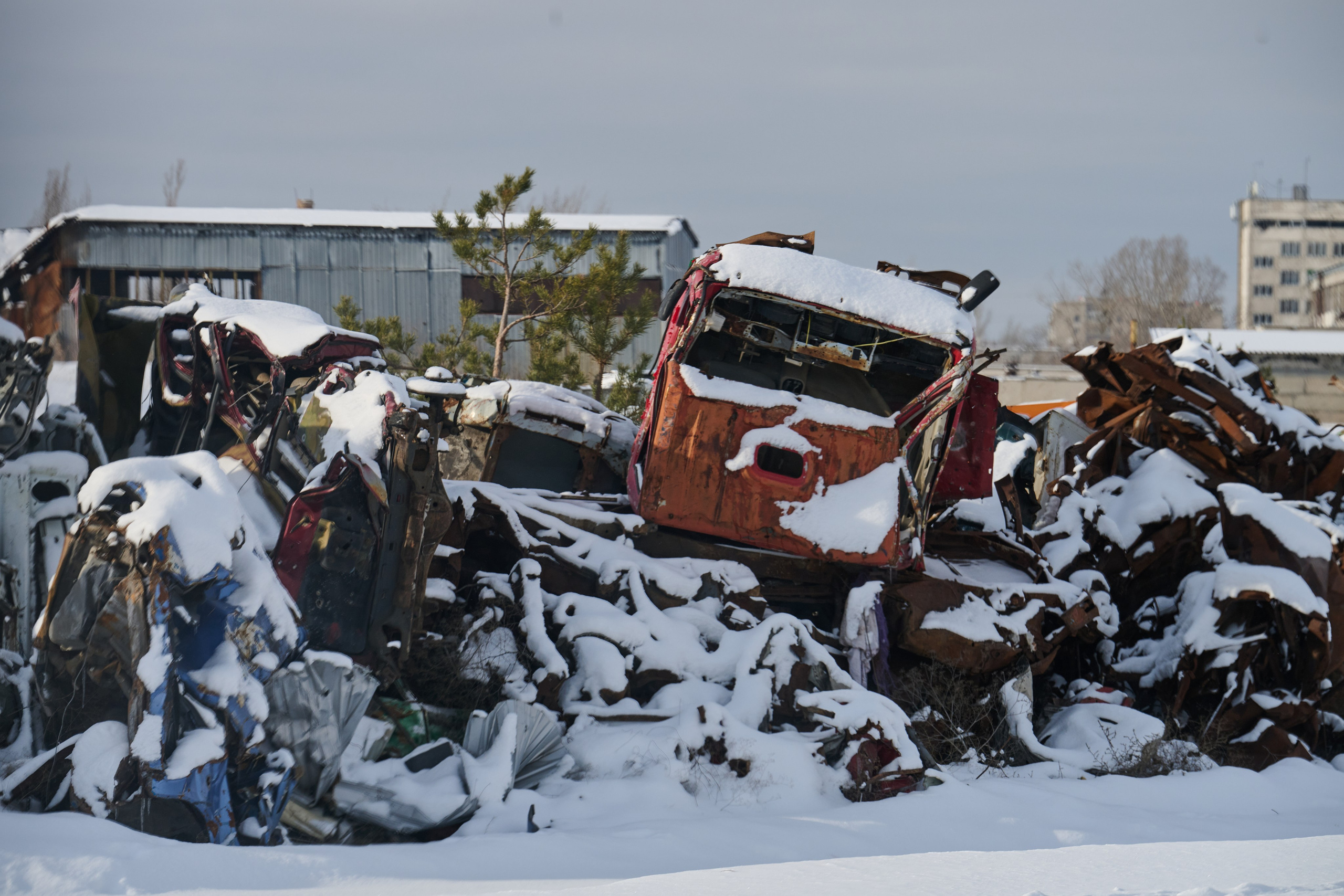 Рубежное. Январь 2026. Фотограф Роман Адлер