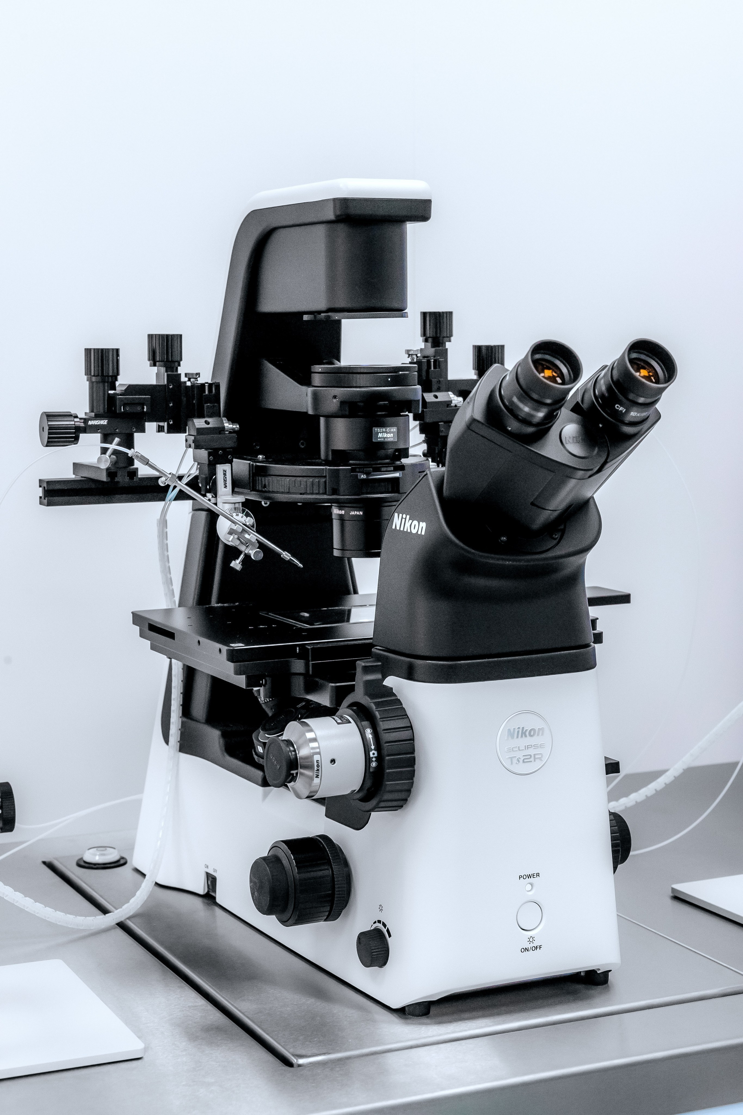 Съёмка для клиники «European fertility clinic»