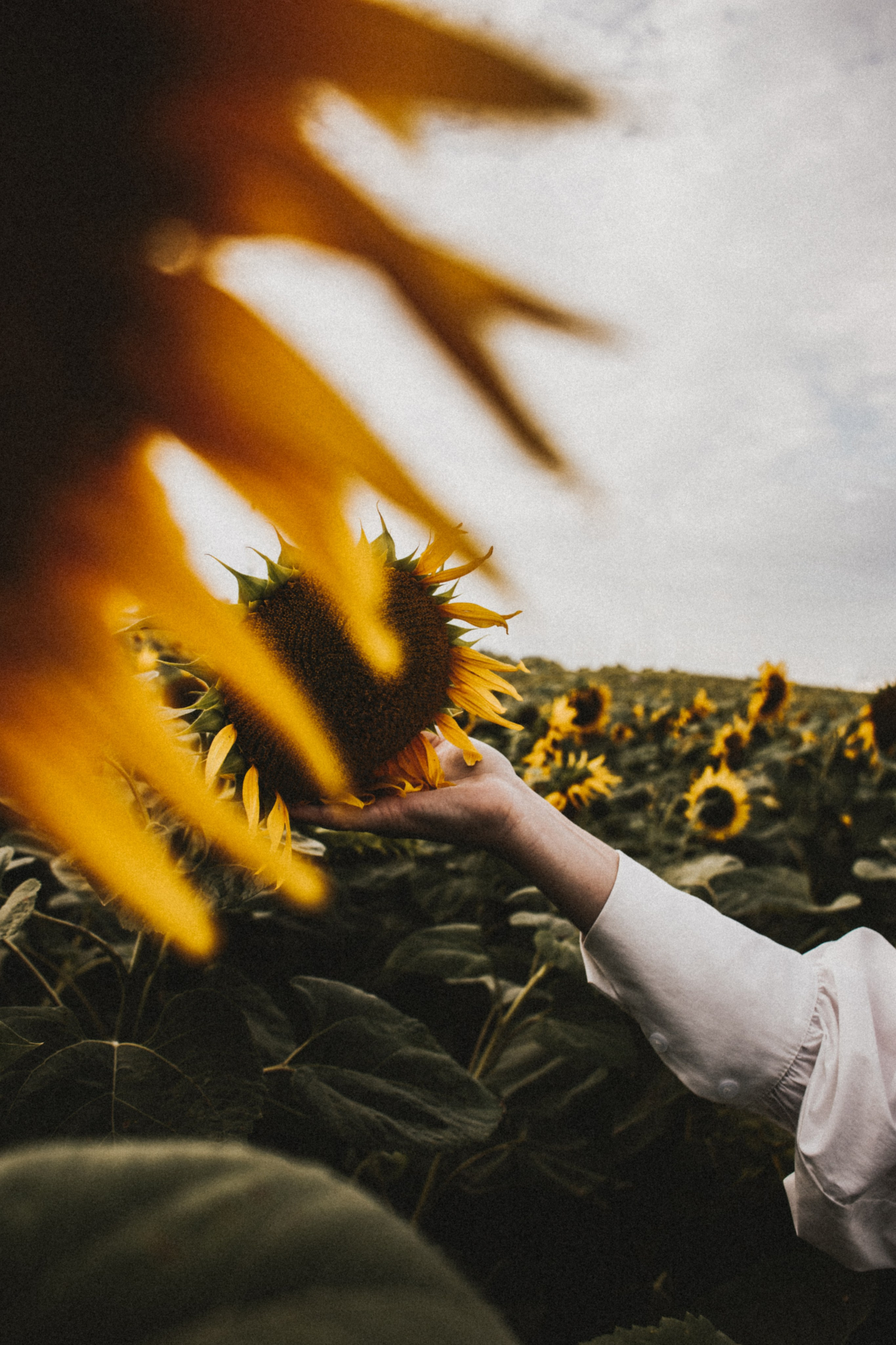Катя Саратов. Фотограф в Нижнем Новгороде