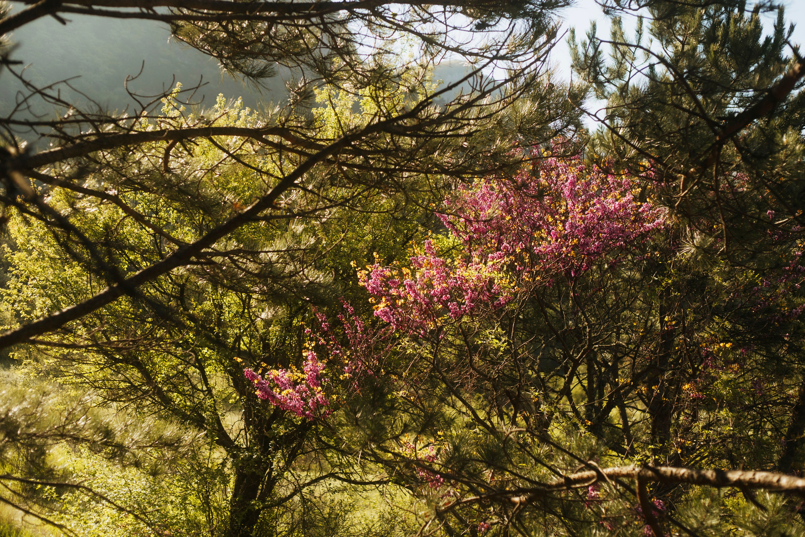 МореНебоОблака. Ваш портретный фотограф в Москве Катя Прокофьева