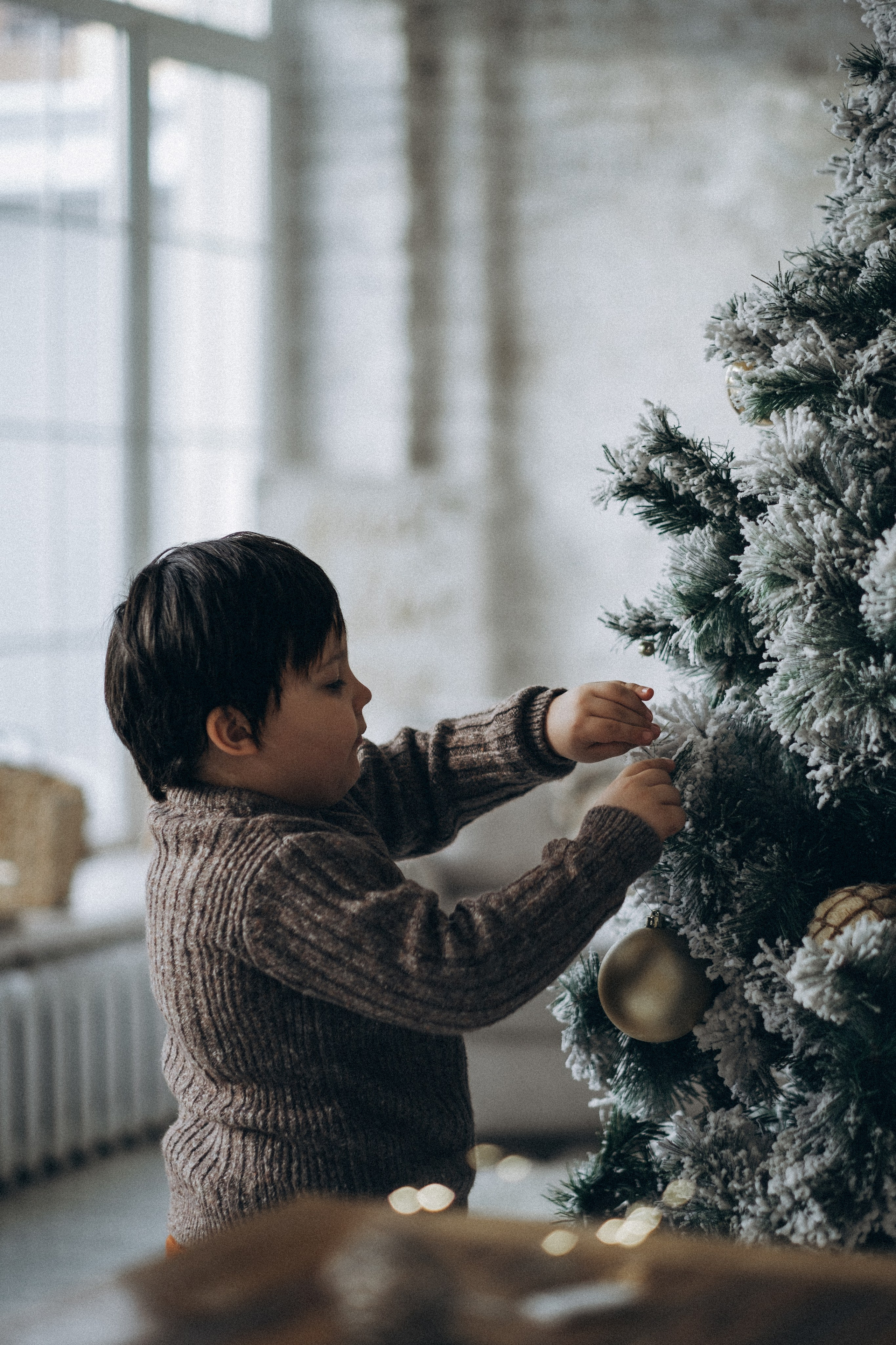 Портфолио. Фотограф Надежда Никитина