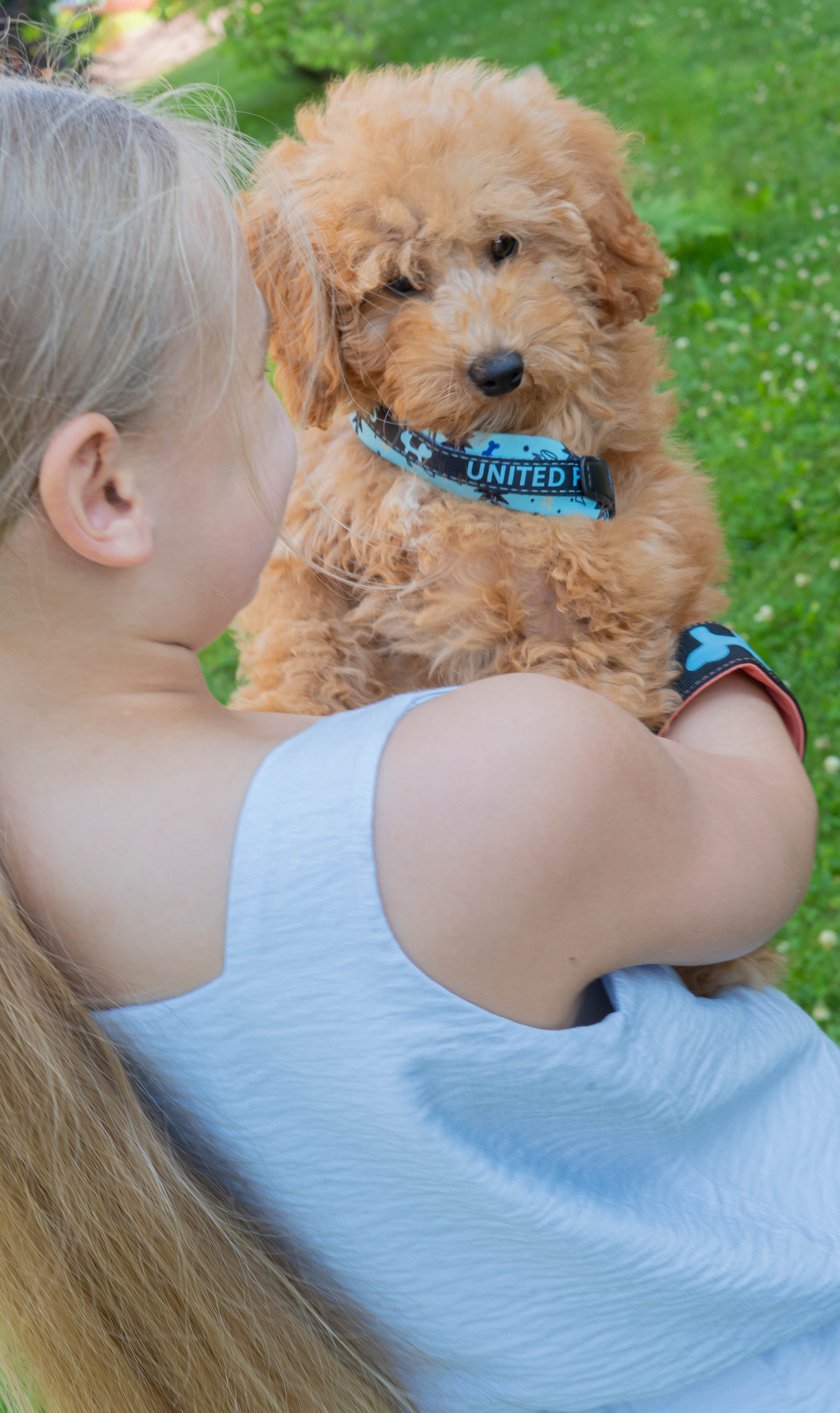 Прогулочная фотосессия Новосибирск Краснообск Love-story  фотосессия Новосибирск Краснообск