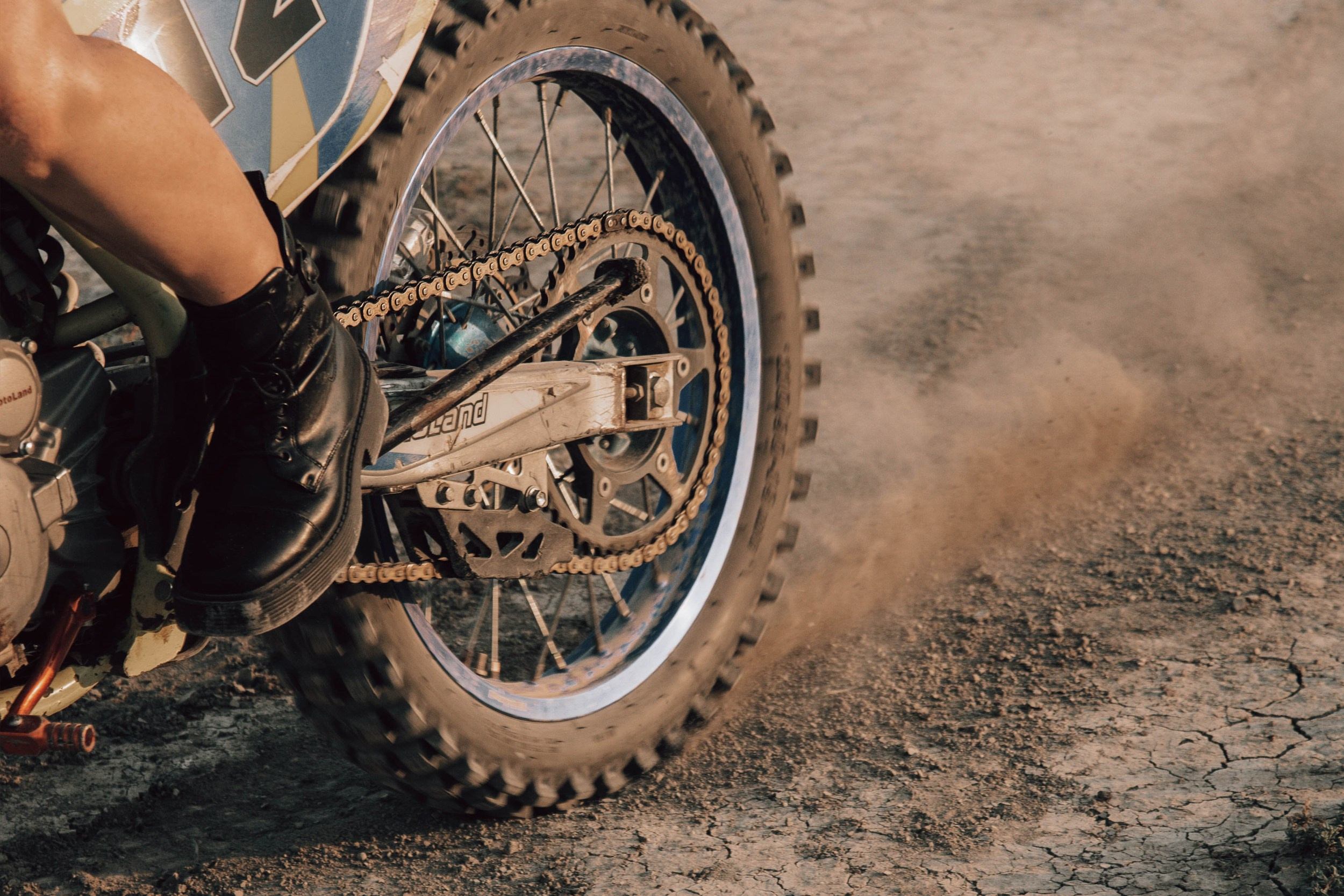 Fox. Ваш фотограф в Крыму