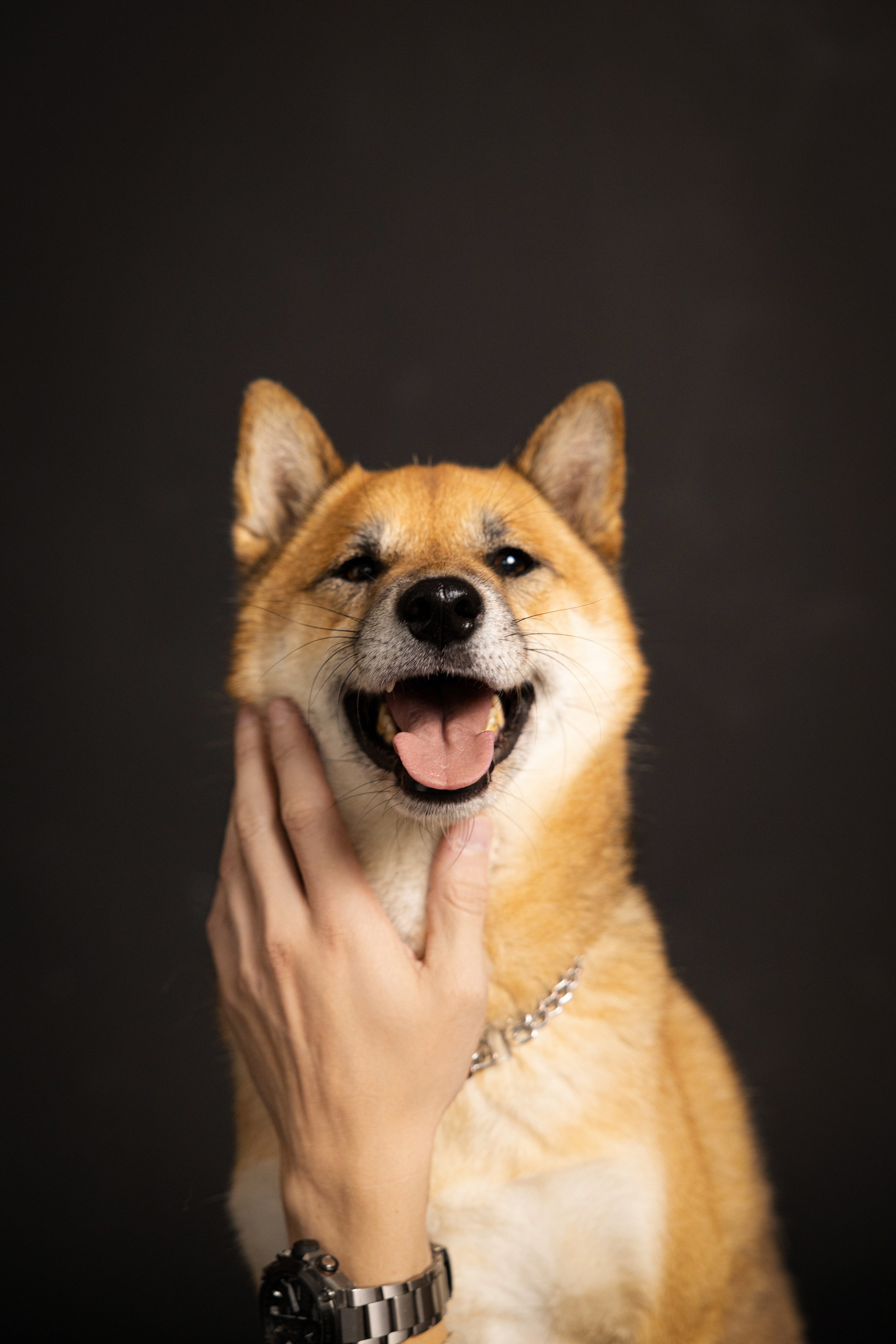 Мужская фотосессия. Портретный и репортажный фотограф из Нижнего Новгорода Александра Лабутина