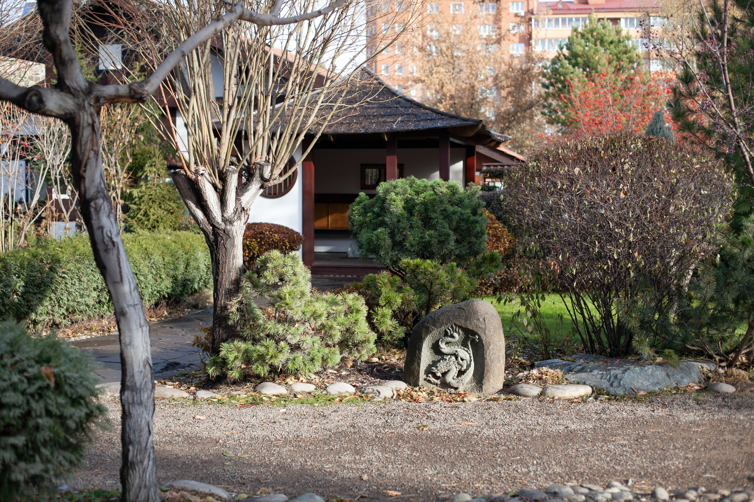 Сады Мечты. Контент для сайта. Фотограф Дарья Локотко в Красноярске
