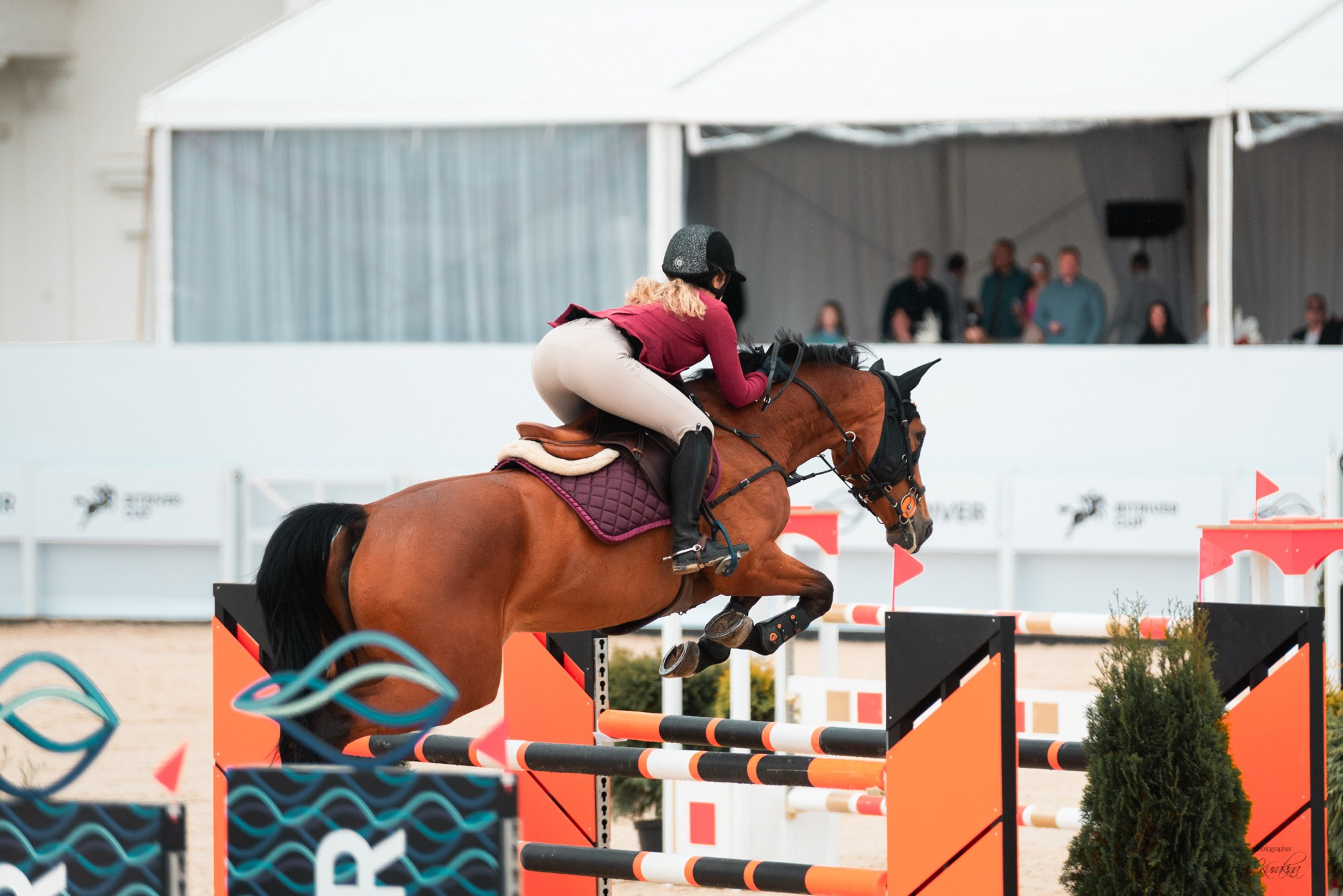 BITRIVER CUP 2023. Конный фотограф Куракина Дарья • Фотосессии с лошадьми