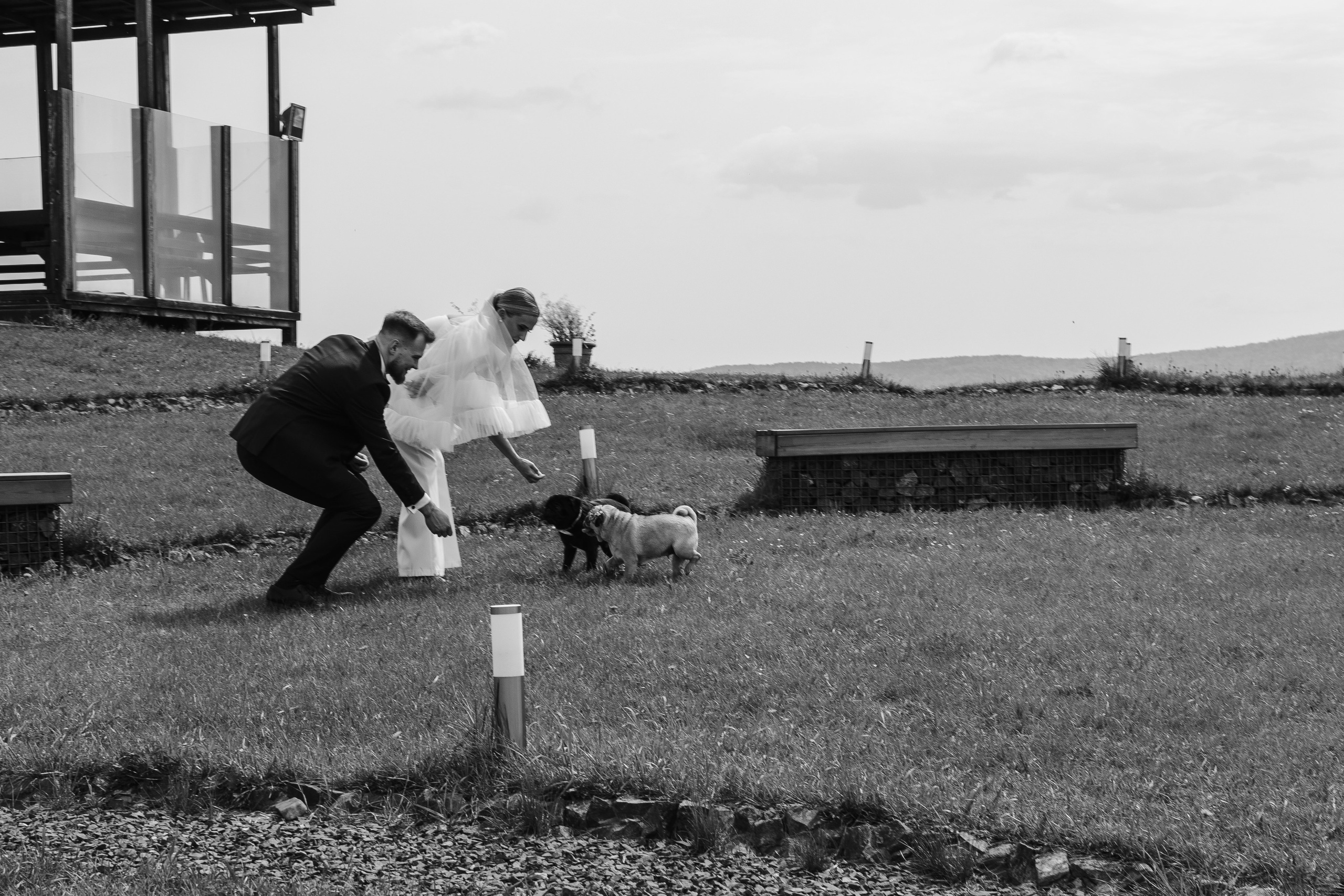 Замечательная свадьба в Белом Замке Шамони в Красноярске. Свадебный фотограф-видеограф в Красноярске Евгений Константинопольский