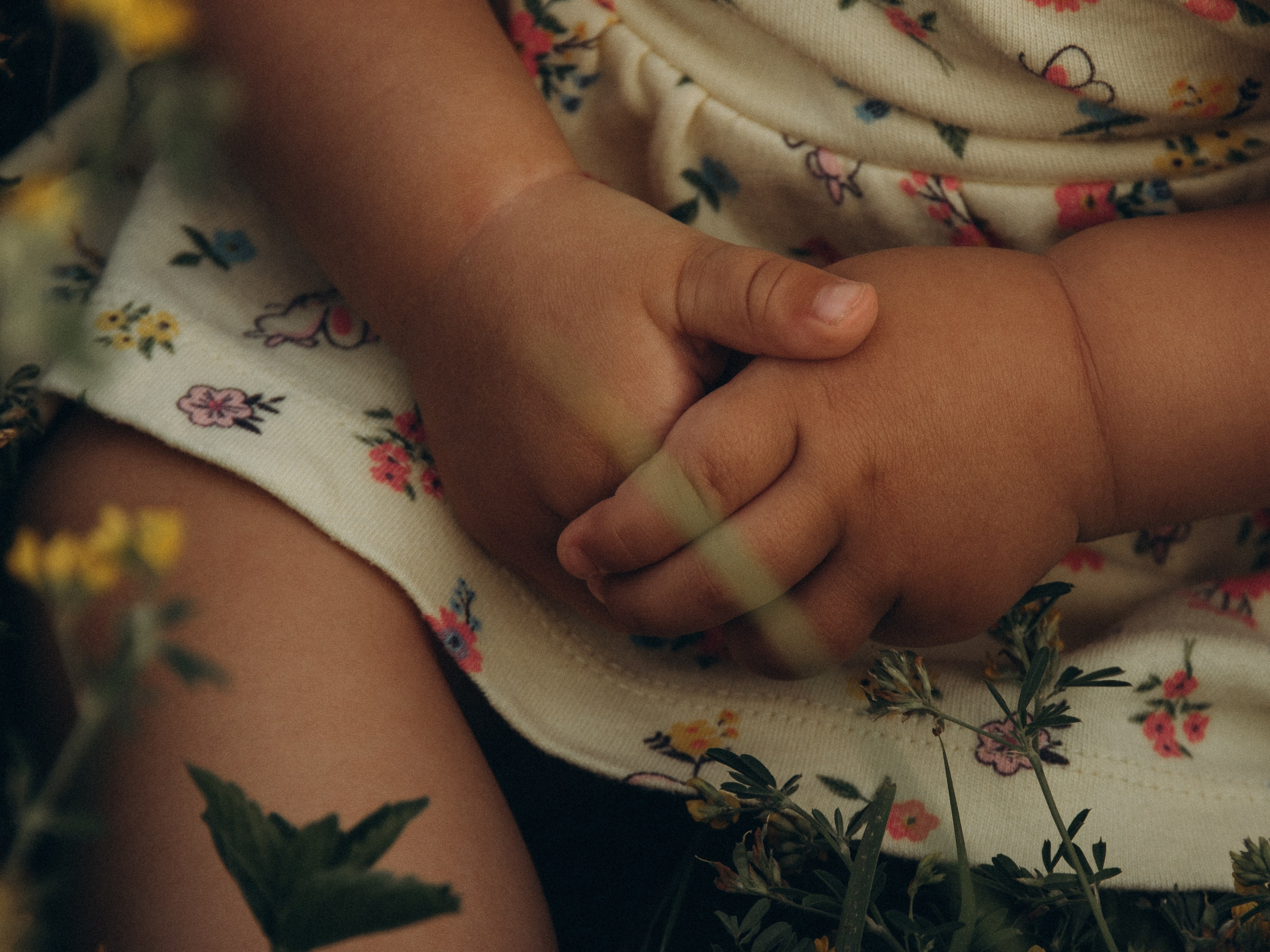 Прогулочная фотоистория. Фотограф Любовь Подосенова Липецк|Воронеж