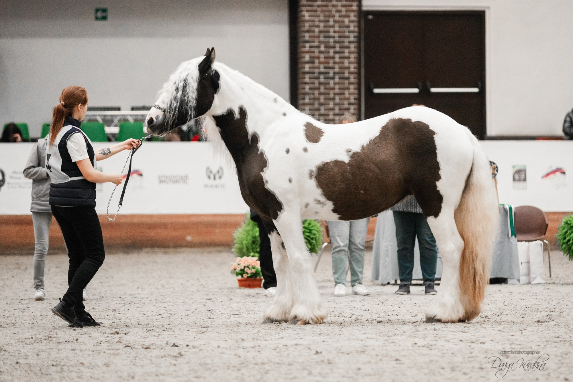 8-я международная выставка Конная Россия. Конный фотограф Куракина Дарья • Фотосессии с лошадьми
