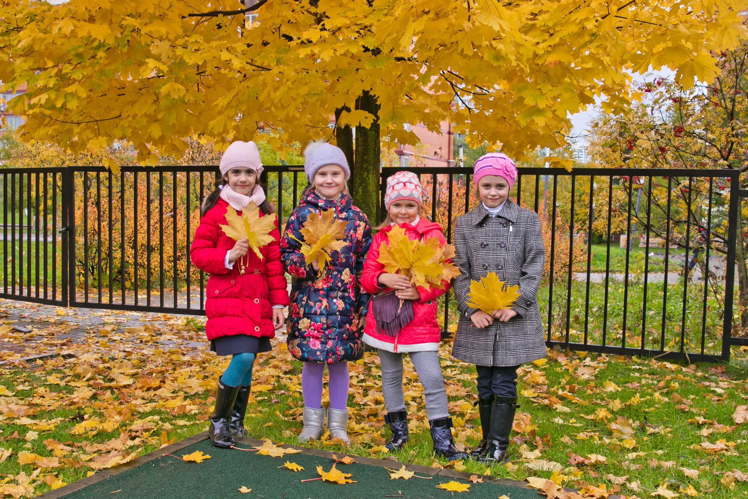 Школьный альбом начальная школа. Школьный и детский фотограф в Москве Федосеева Ольга
