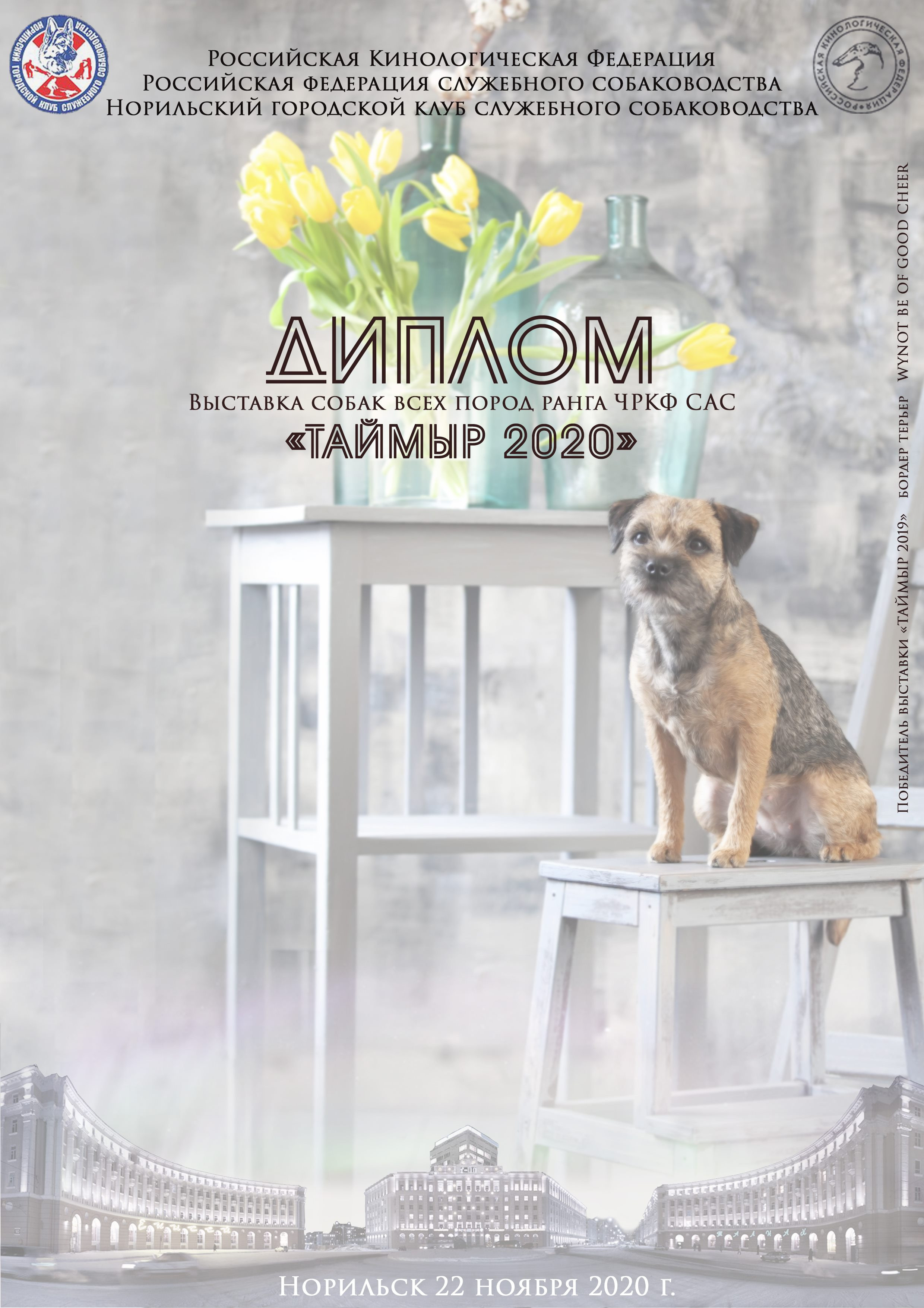 ПРЕЗЕНТАЦИИ. Фотограф-анималист Ольга Фомичева