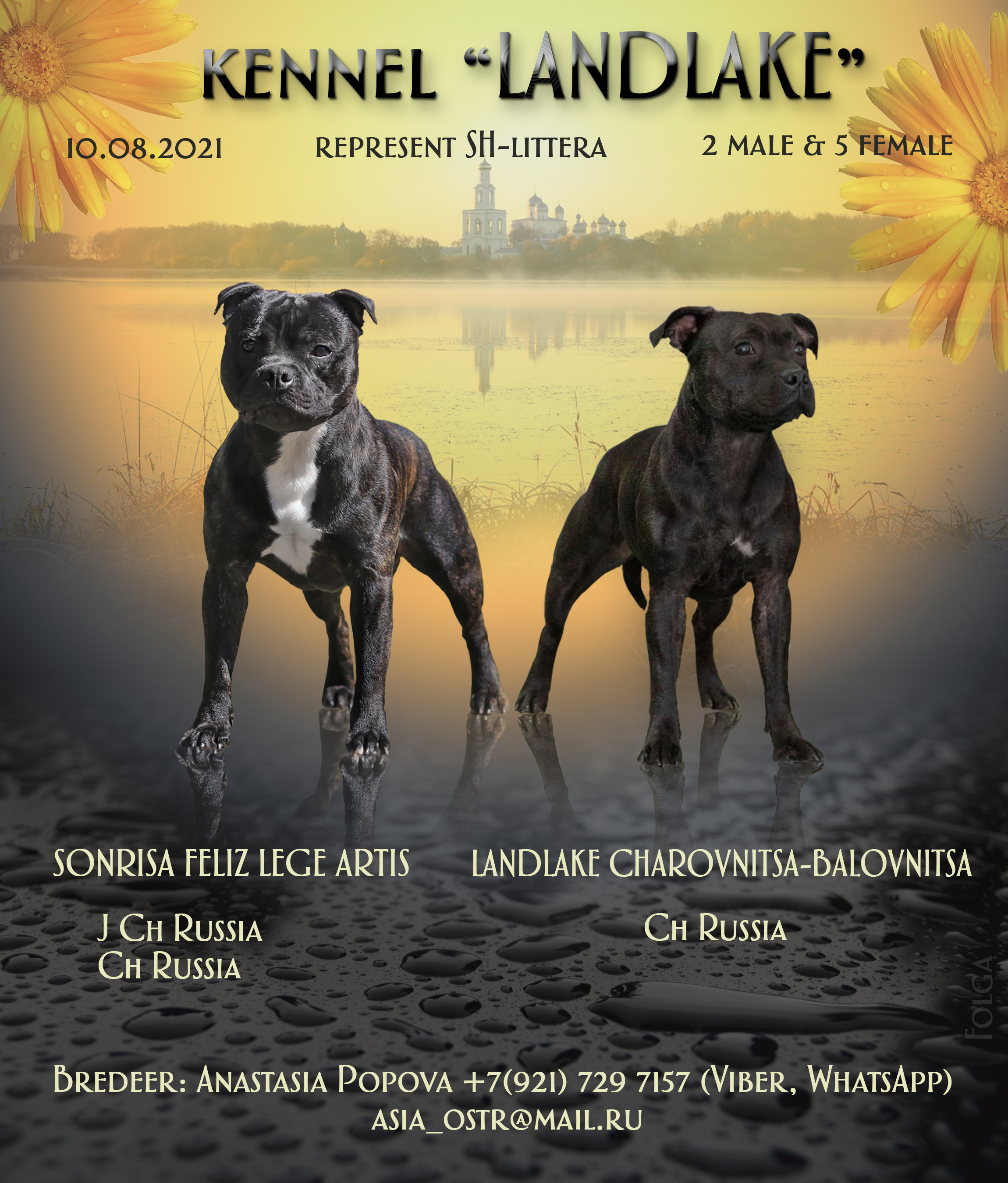 ПРЕЗЕНТАЦИИ. Фотограф-анималист Ольга Фомичева