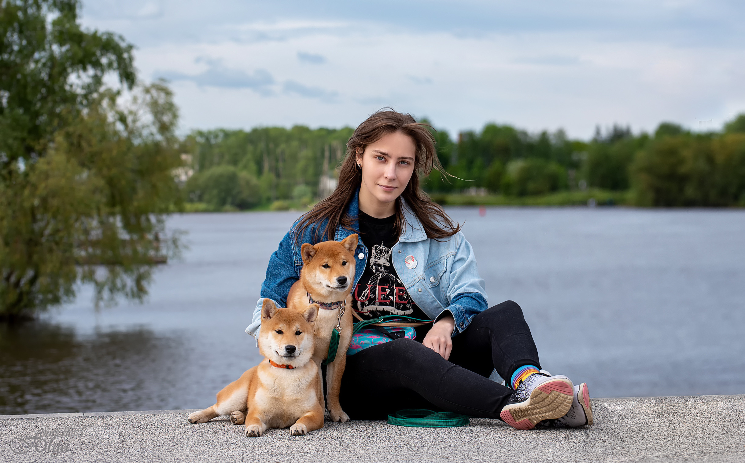 ФОТО СОБАК НА ПРИРОДЕ, В ГОРОДЕ, НА ВЫСТАВКЕ. Фотограф-анималист Ольга Фомичева