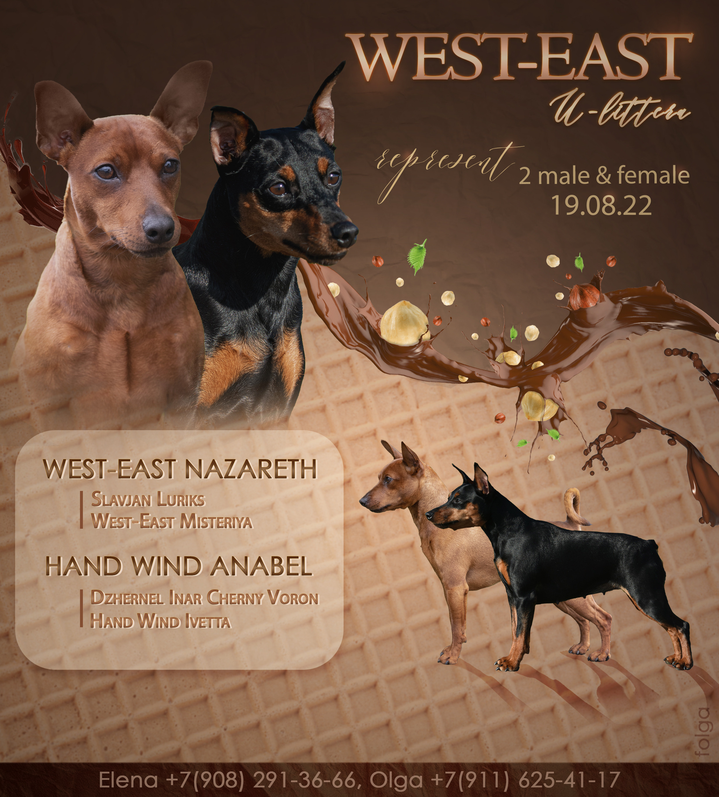 ПРЕЗЕНТАЦИИ. Фотограф-анималист Ольга Фомичева