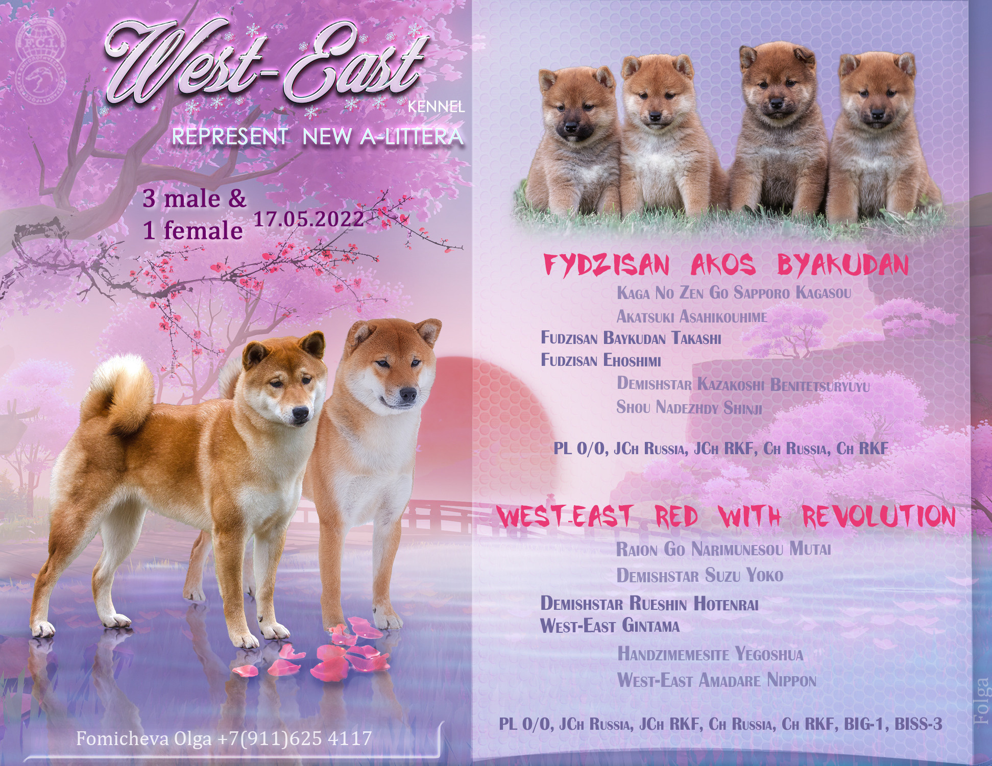 ПРЕЗЕНТАЦИИ. Фотограф-анималист Ольга Фомичева