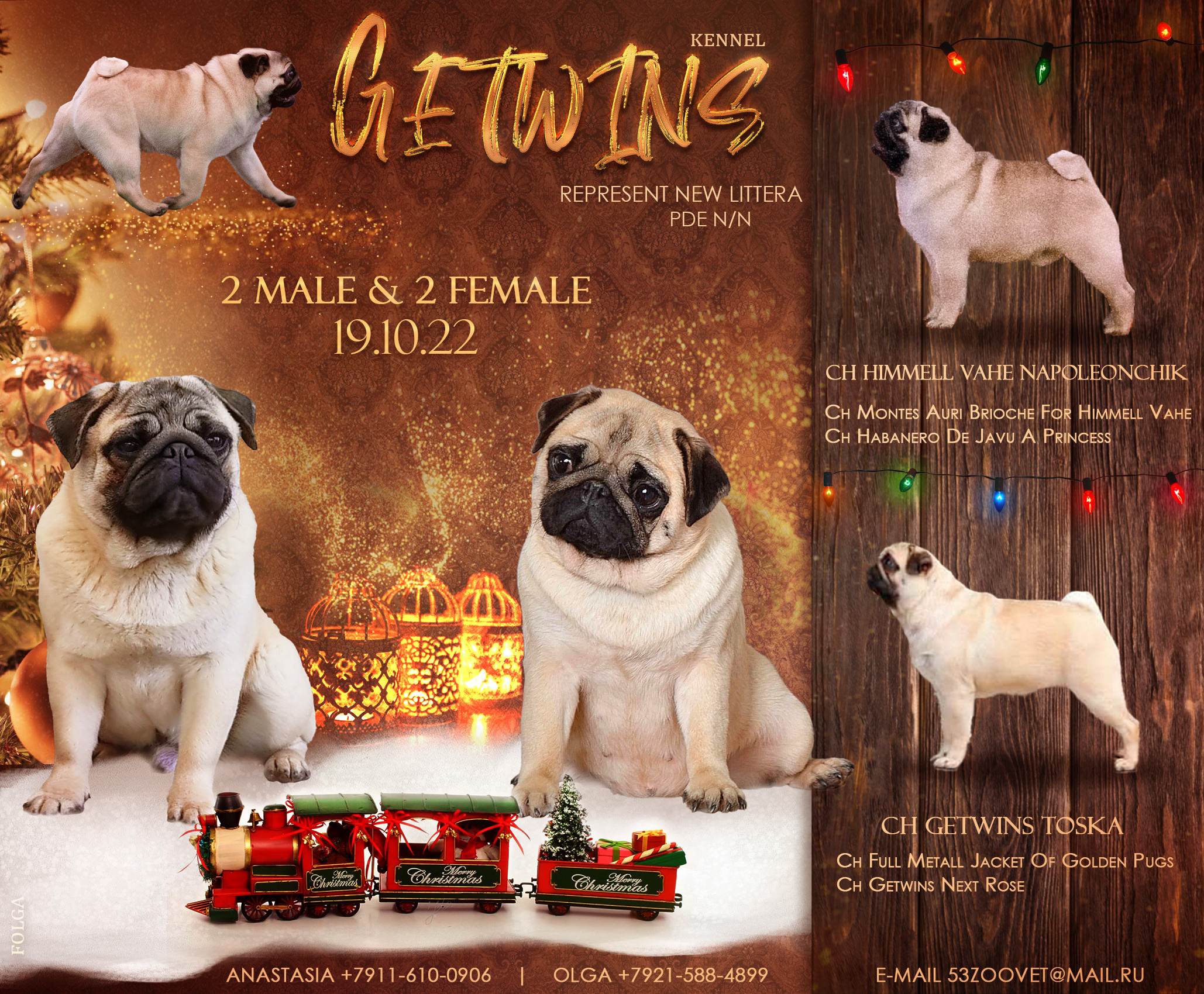 ПРЕЗЕНТАЦИИ. Фотограф-анималист Ольга Фомичева