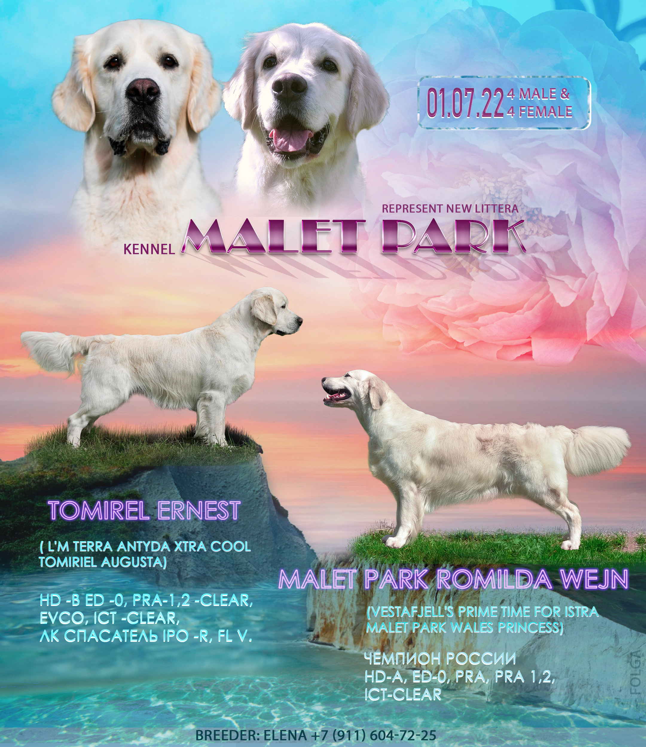 ПРЕЗЕНТАЦИИ. Фотограф-анималист Ольга Фомичева