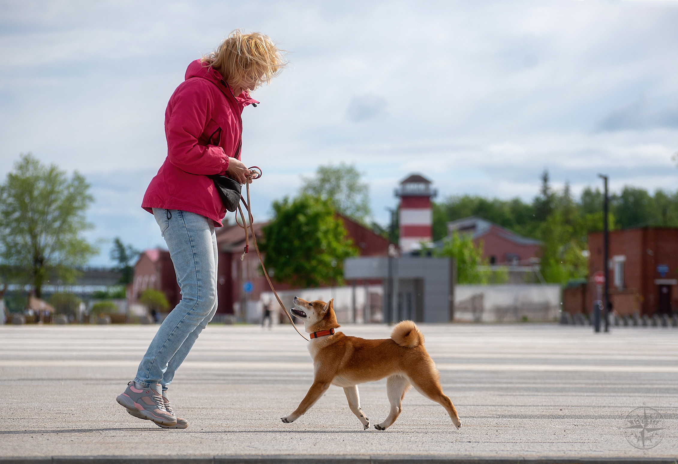 ФОТО СОБАК НА ПРИРОДЕ, В ГОРОДЕ, НА ВЫСТАВКЕ. Фотограф-анималист Ольга Фомичева